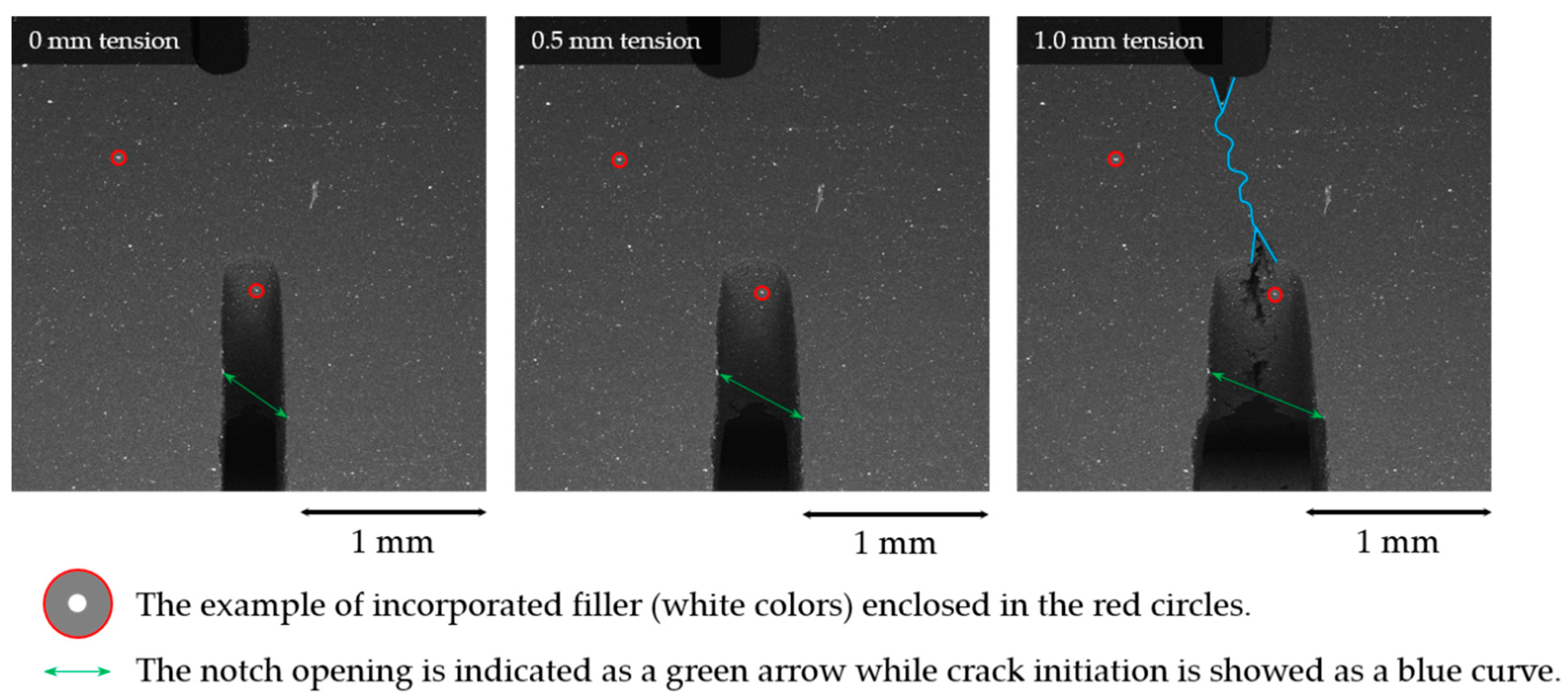 Molecules 26 00587 g013