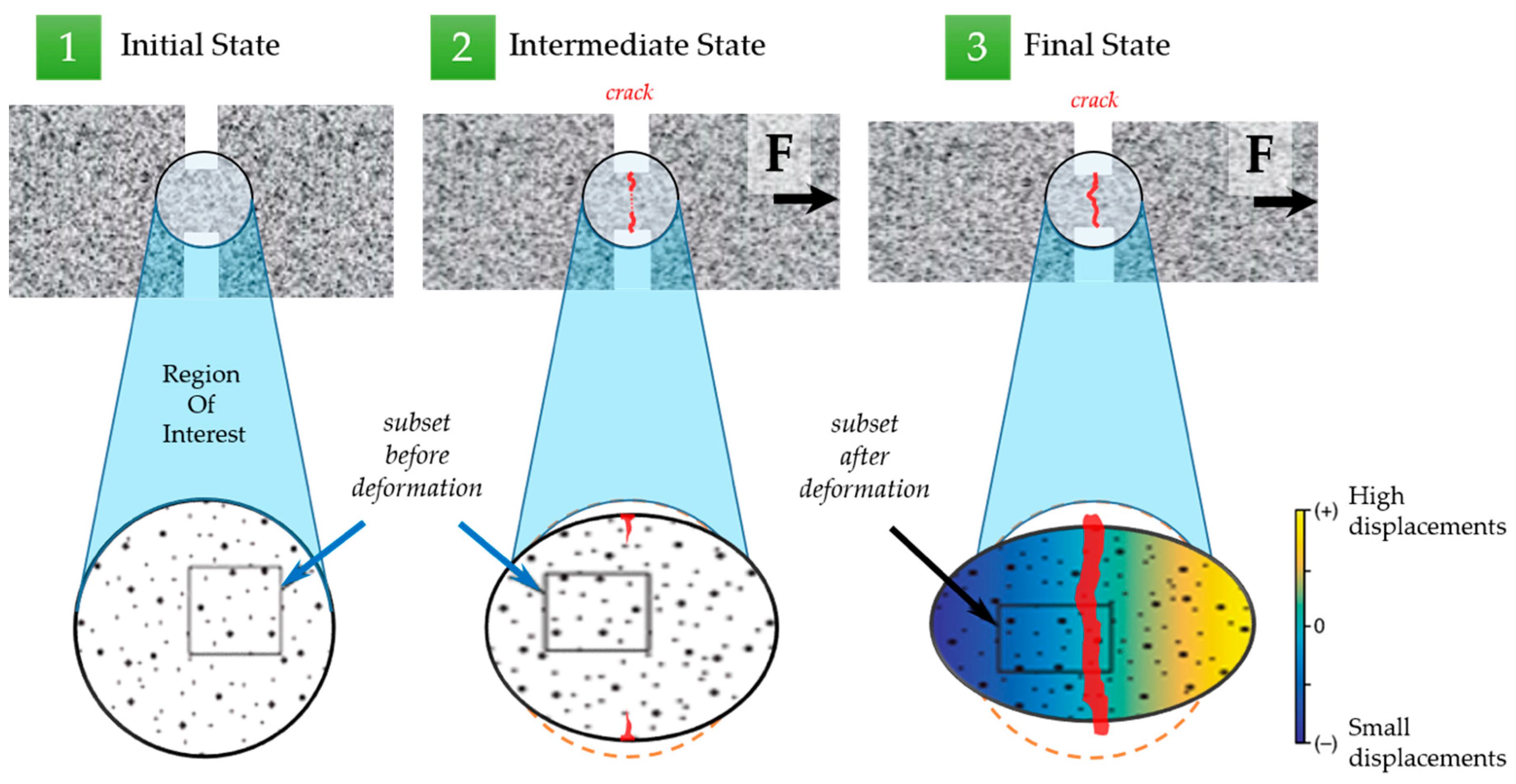 Molecules 26 00587 g014