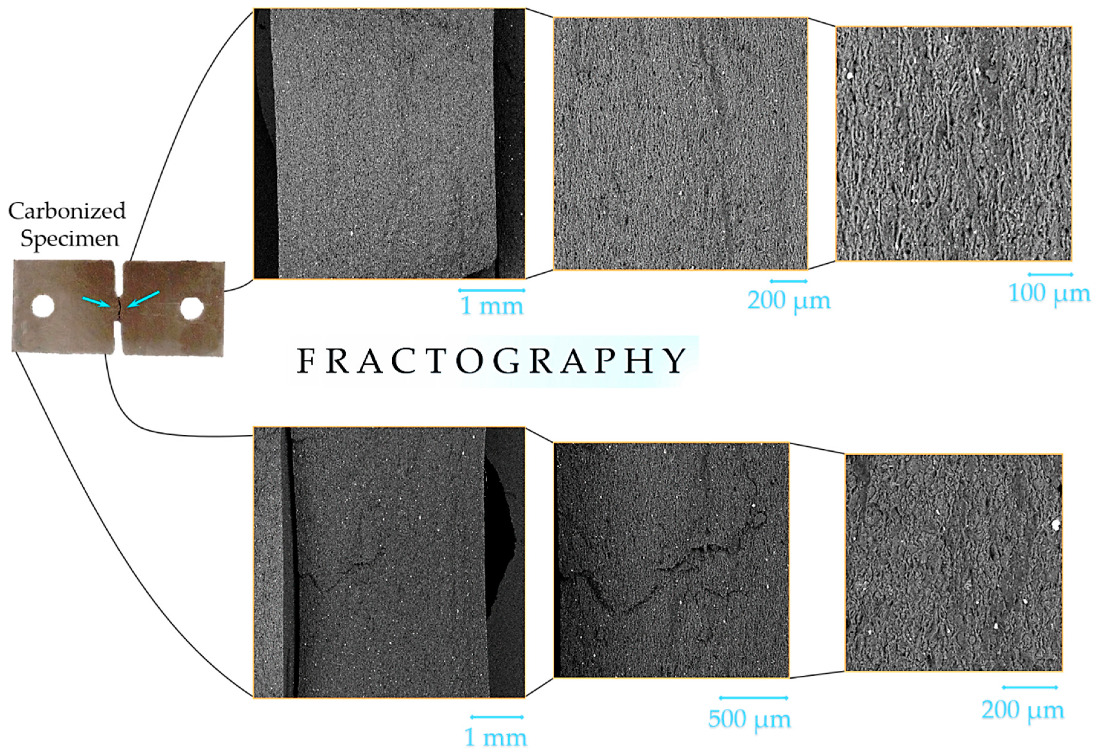 Molecules 26 00587 g016