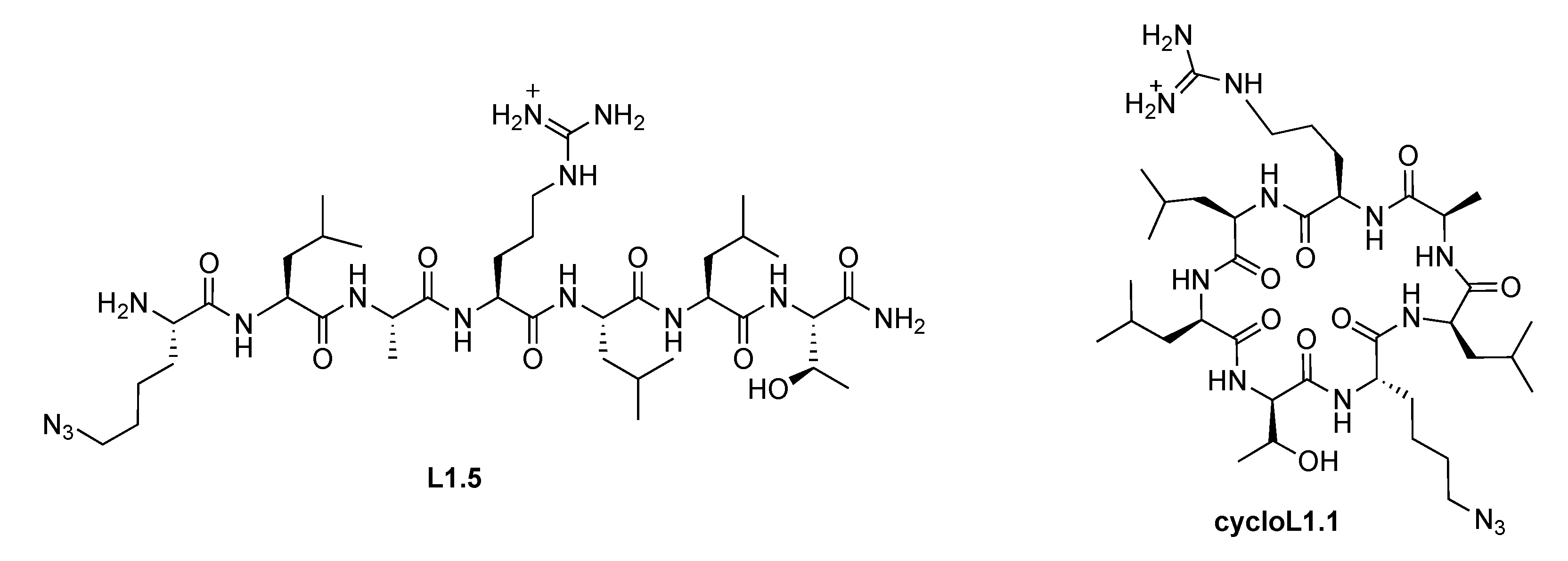 Molecules 26 00593 g001