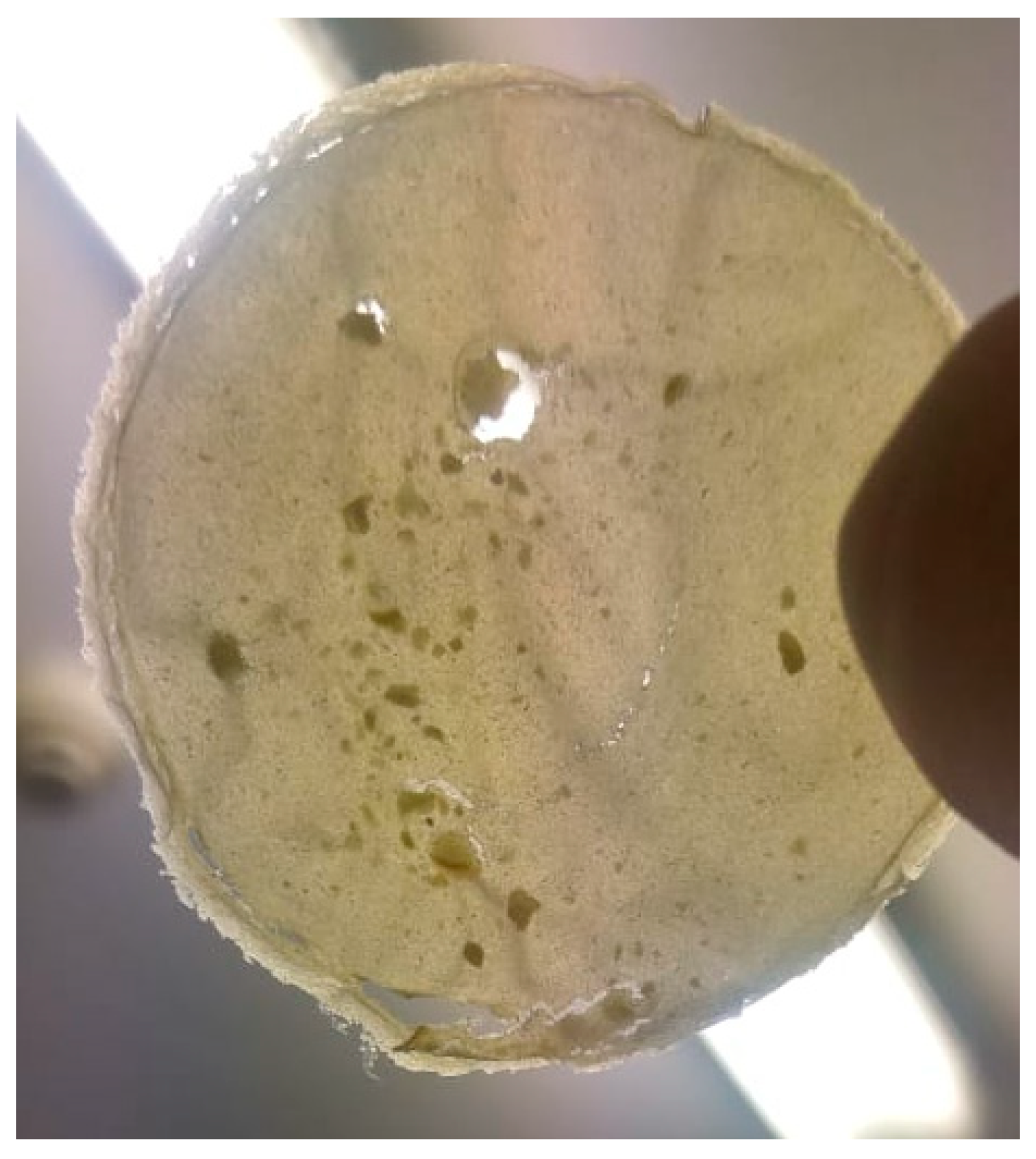 Molecules 26 00596 g005