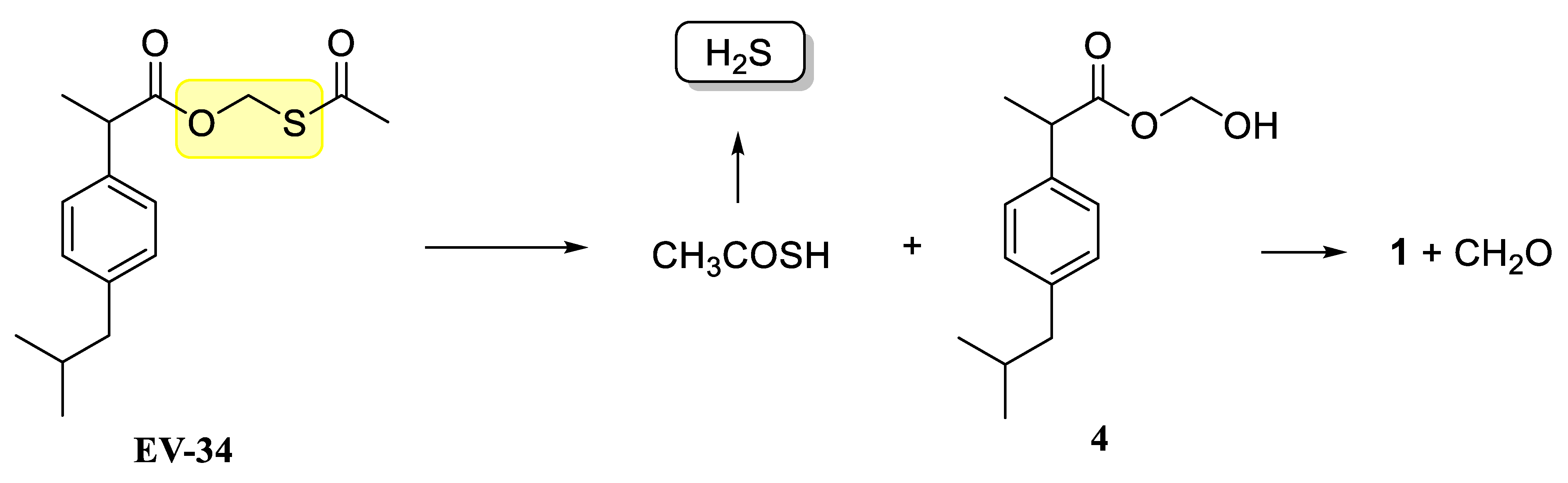 Molecules 26 00599 g004 Molecules 26 00599 g004