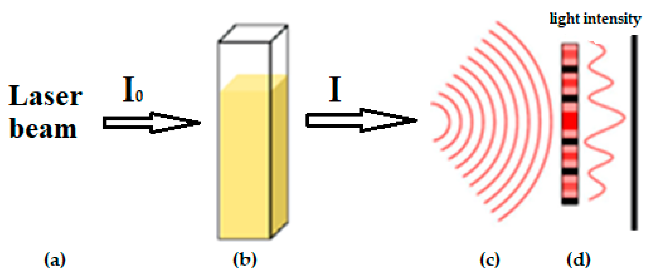 Molecules 26 00601 g003