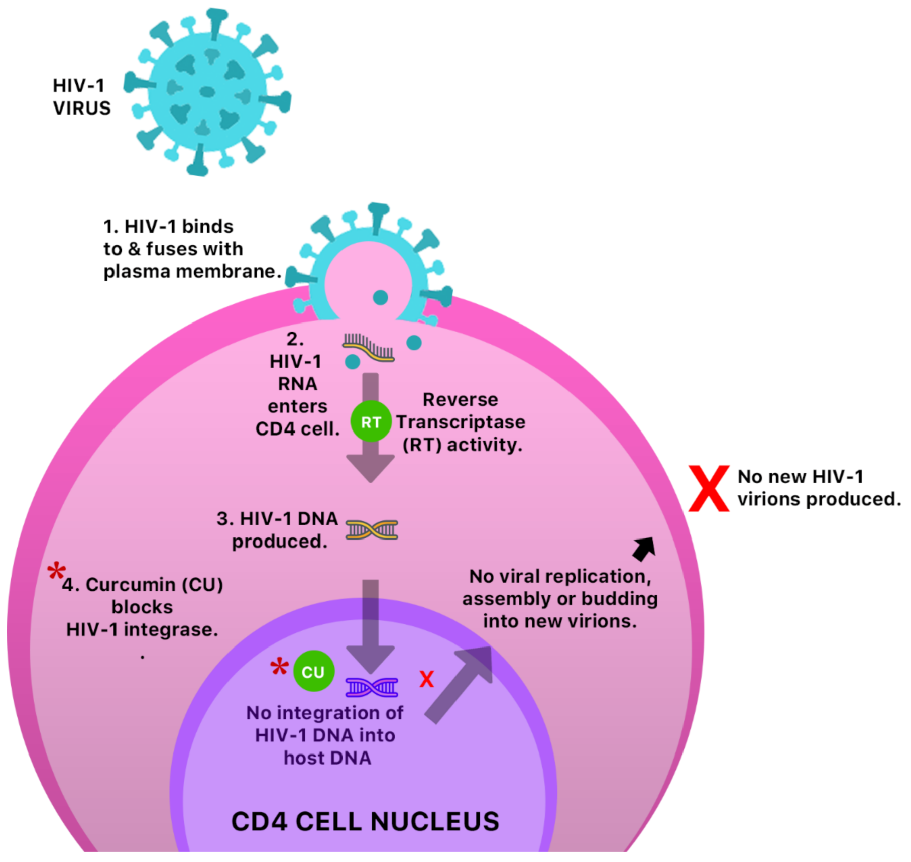 Molecules 26 00607 g011