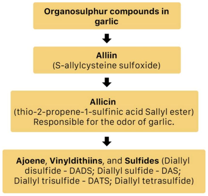 Molecules 26 00607 g014