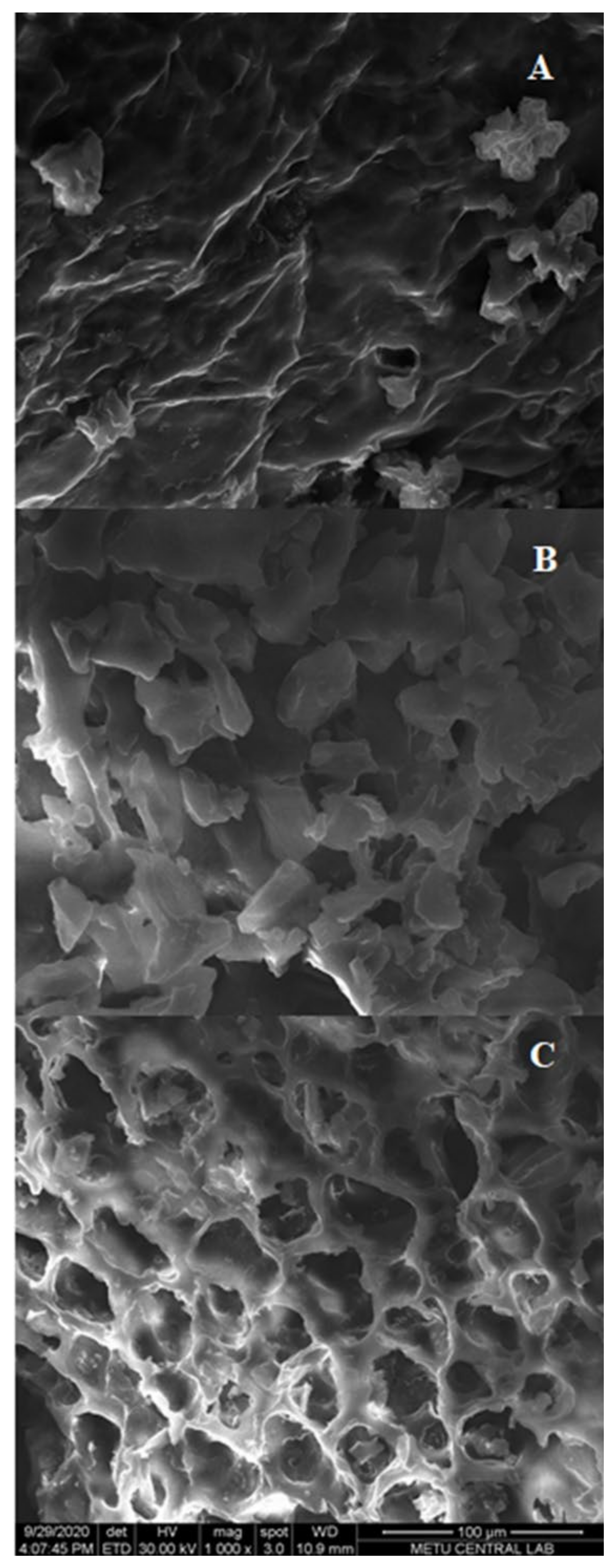 Molecules 26 00613 g006