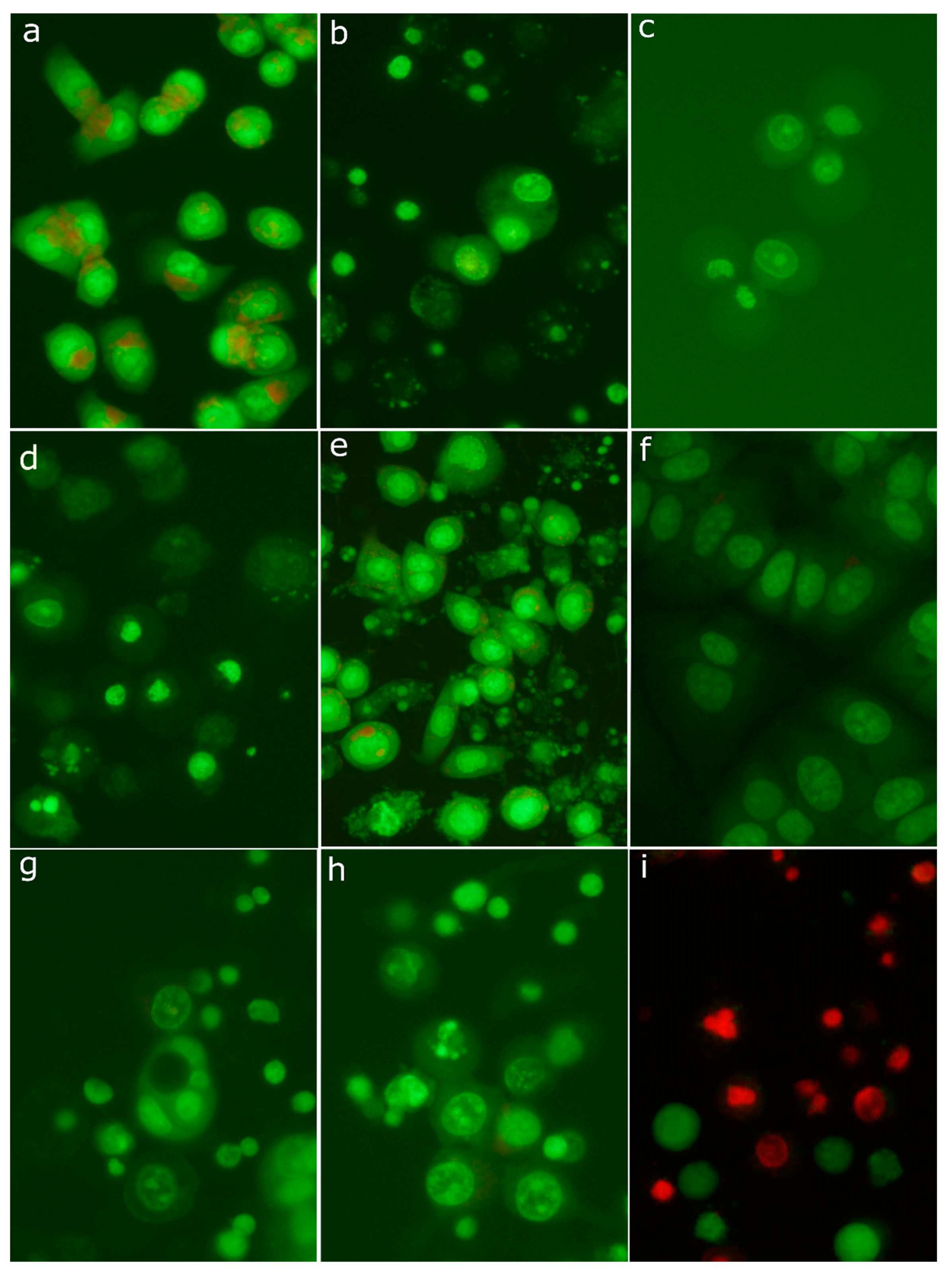 Molecules 26 00615 g008