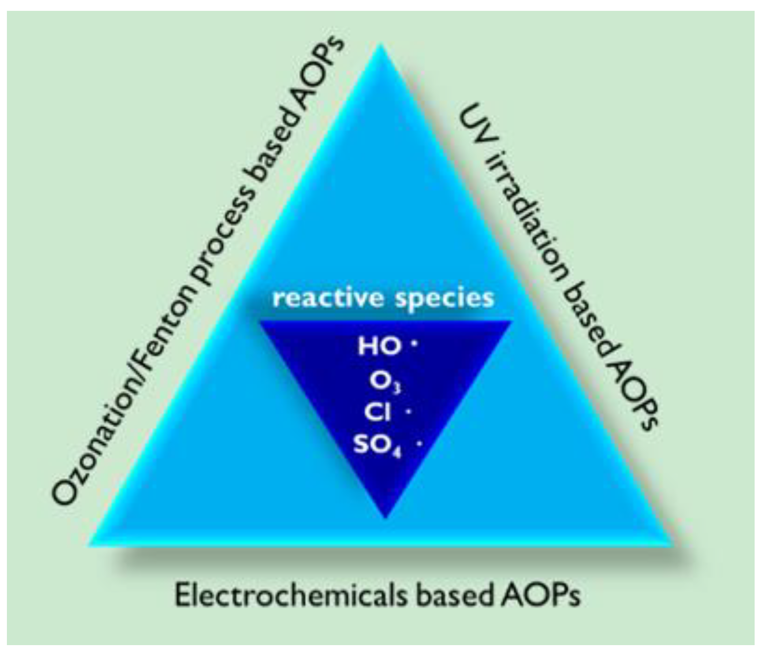 Molecules 26 00617 g001