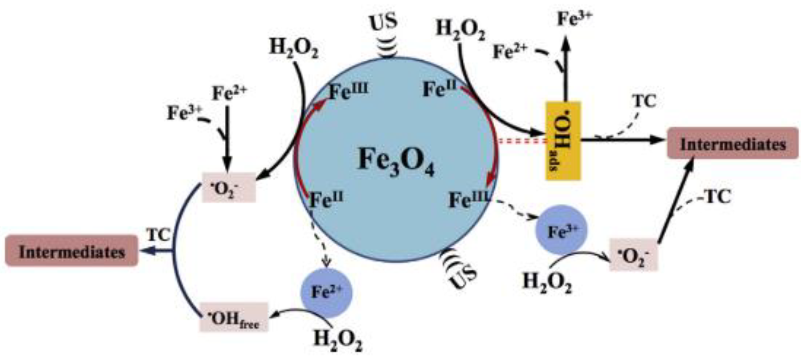 Molecules 26 00617 g003
