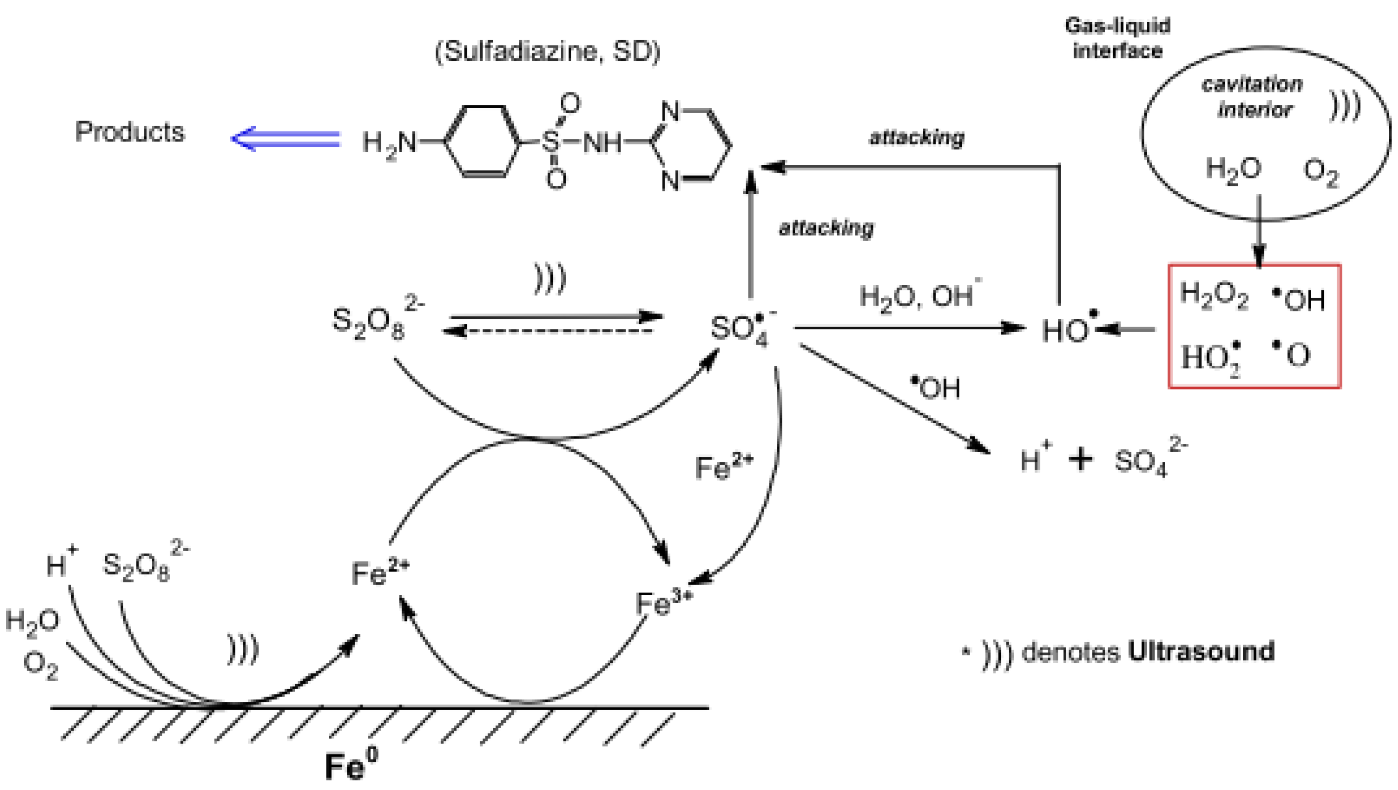 Molecules 26 00617 g004