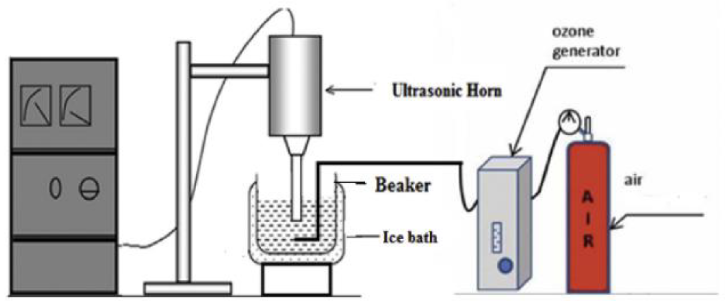 Molecules 26 00617 g008