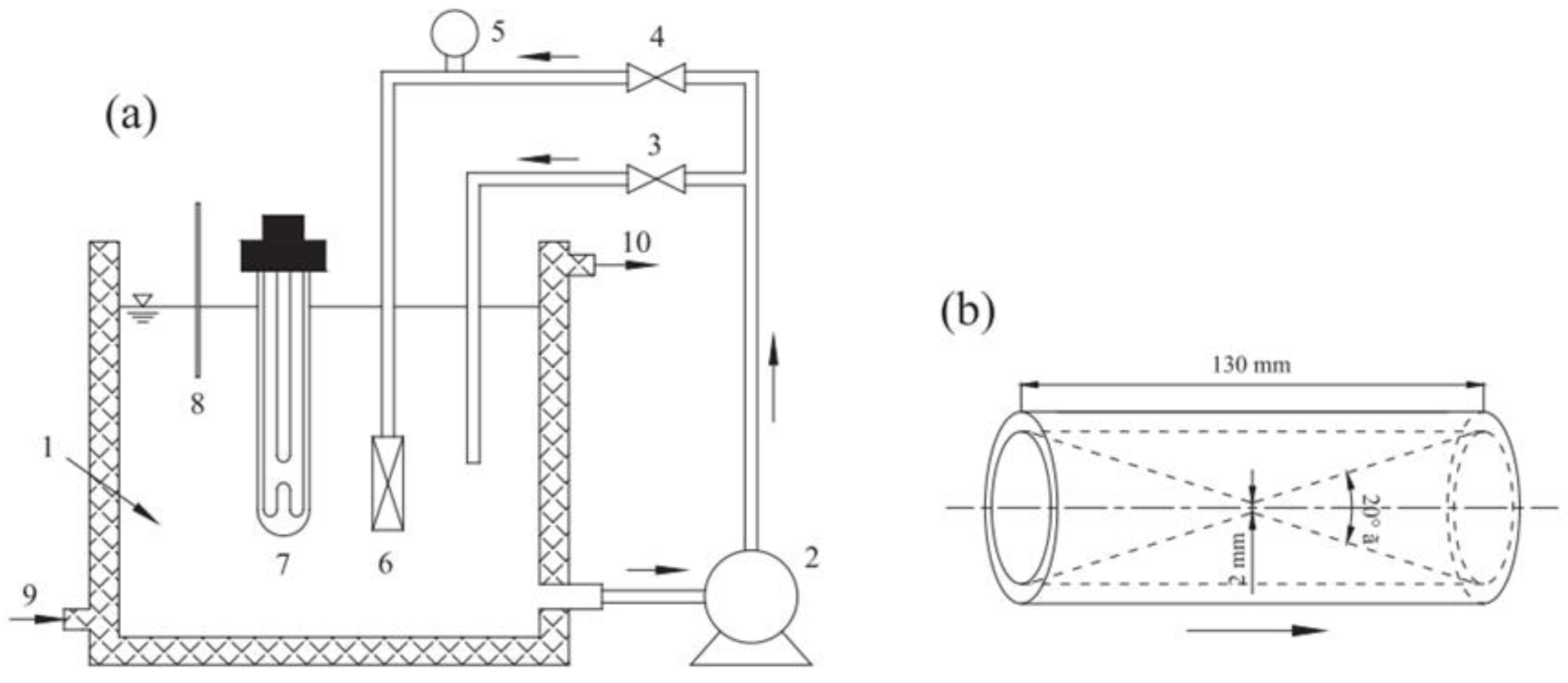 Molecules 26 00617 g009
