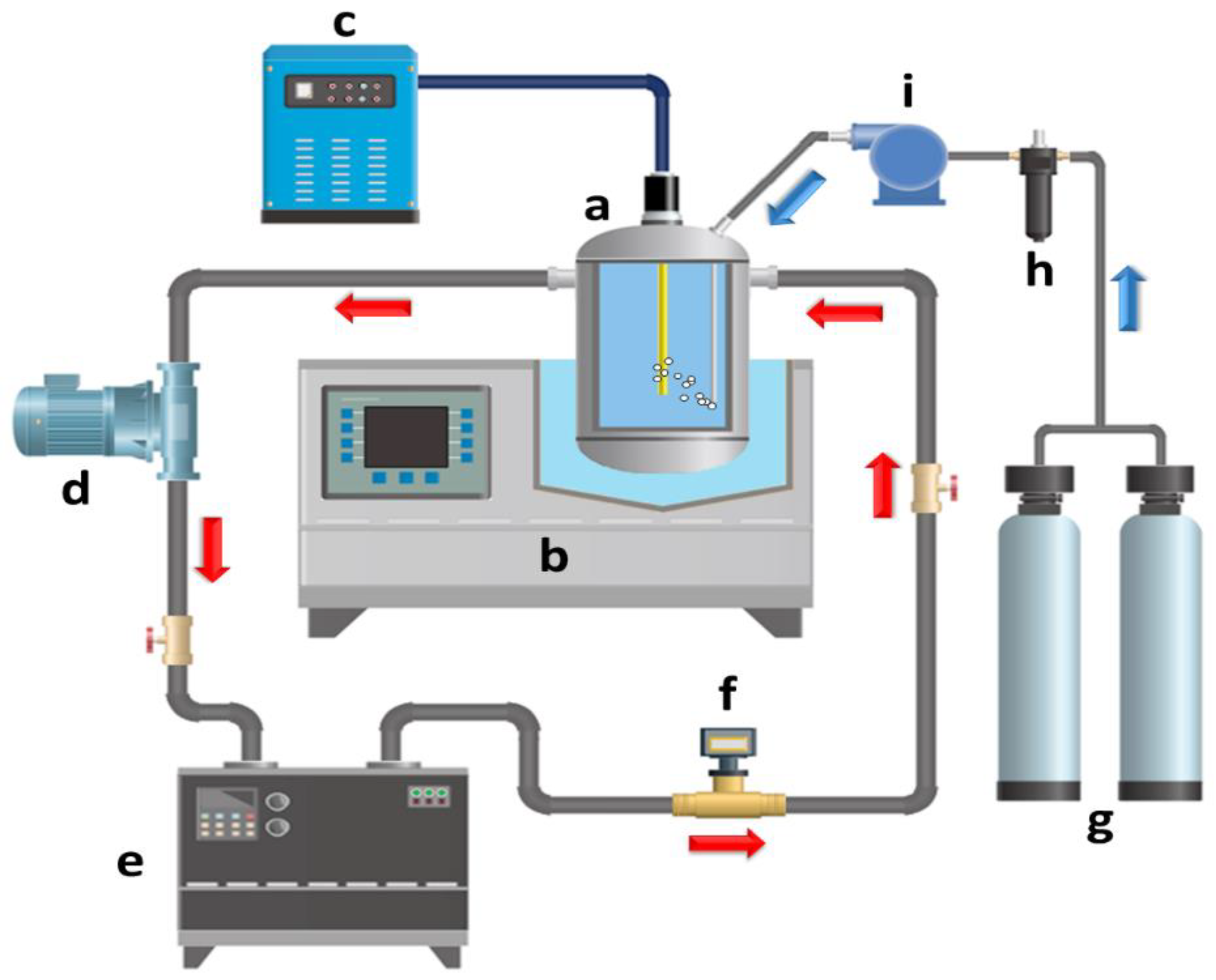Molecules 26 00617 g011