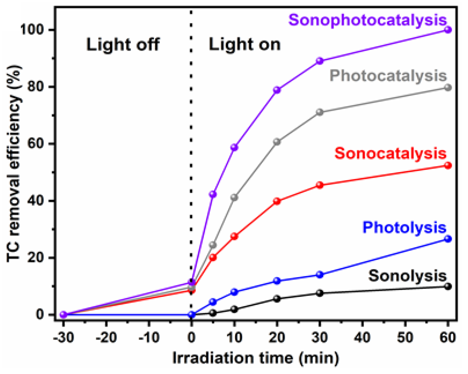Molecules 26 00617 g012
