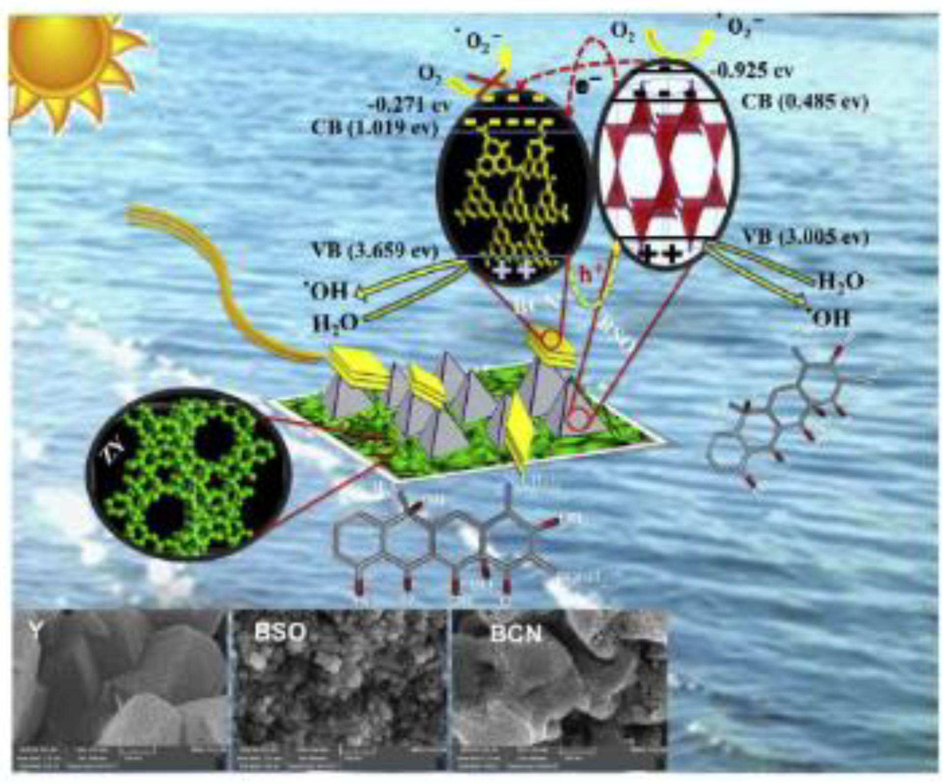 Molecules 26 00617 g017