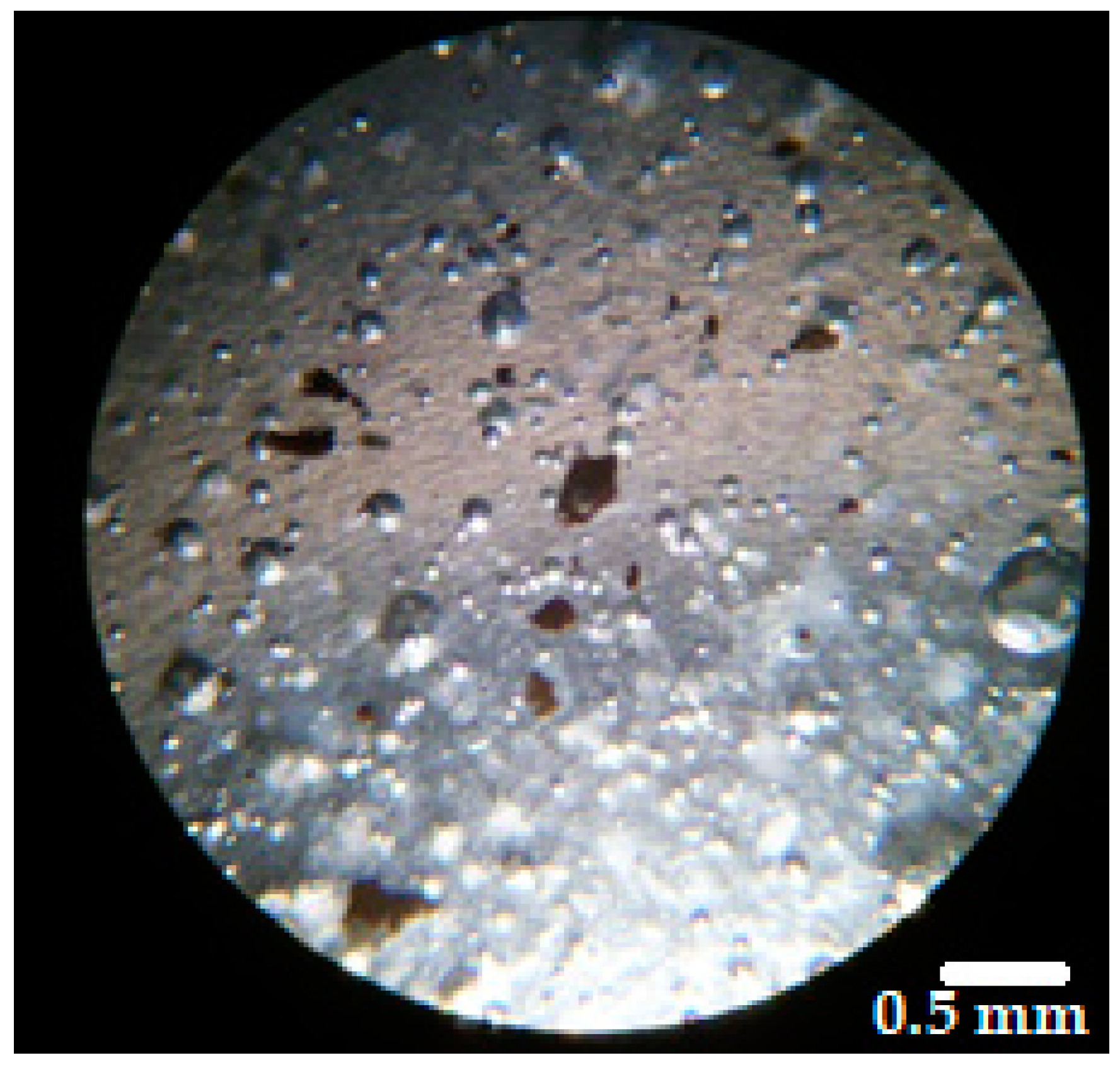Molecules 26 00620 g003