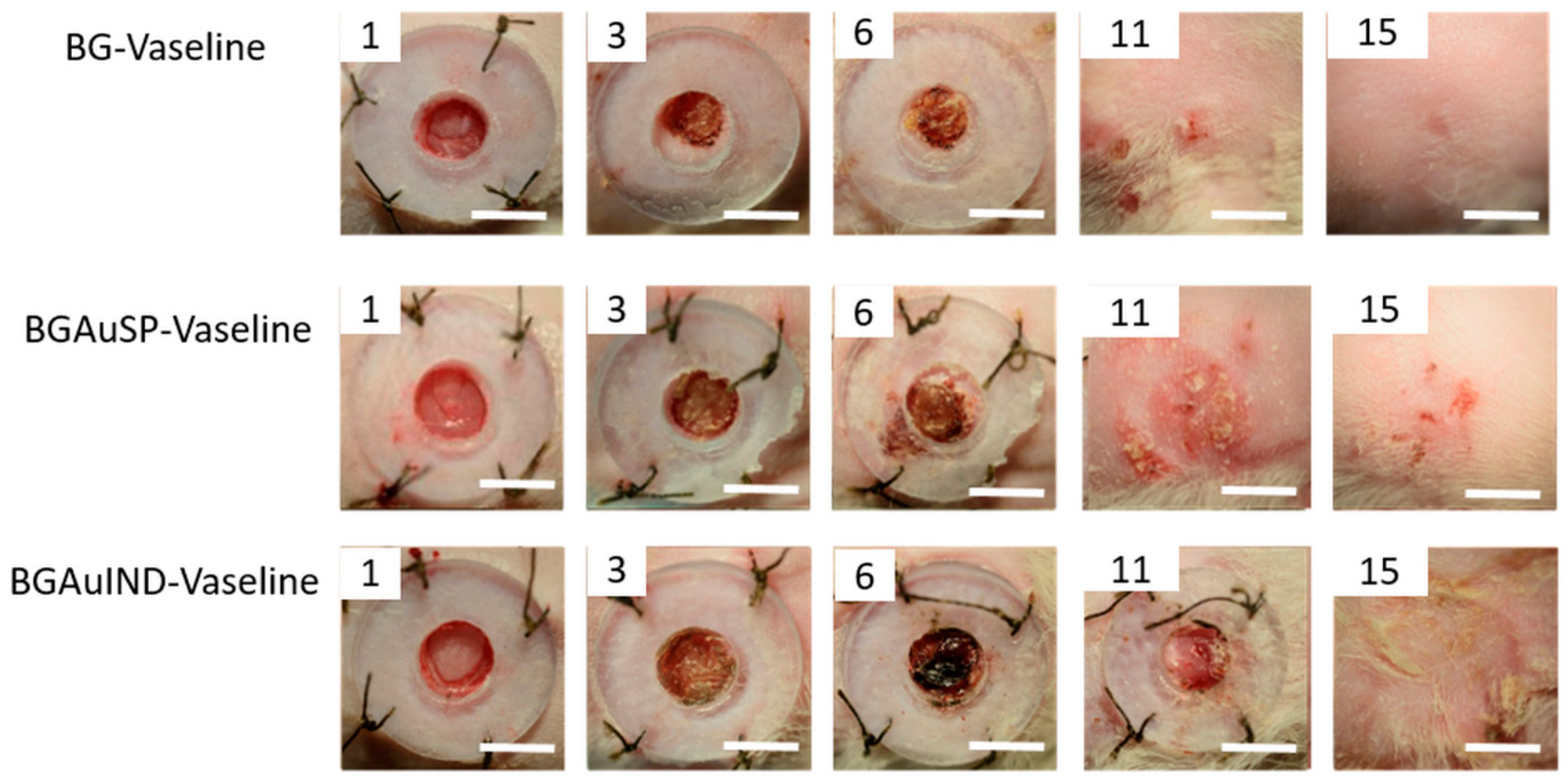 Molecules 26 00620 g006
