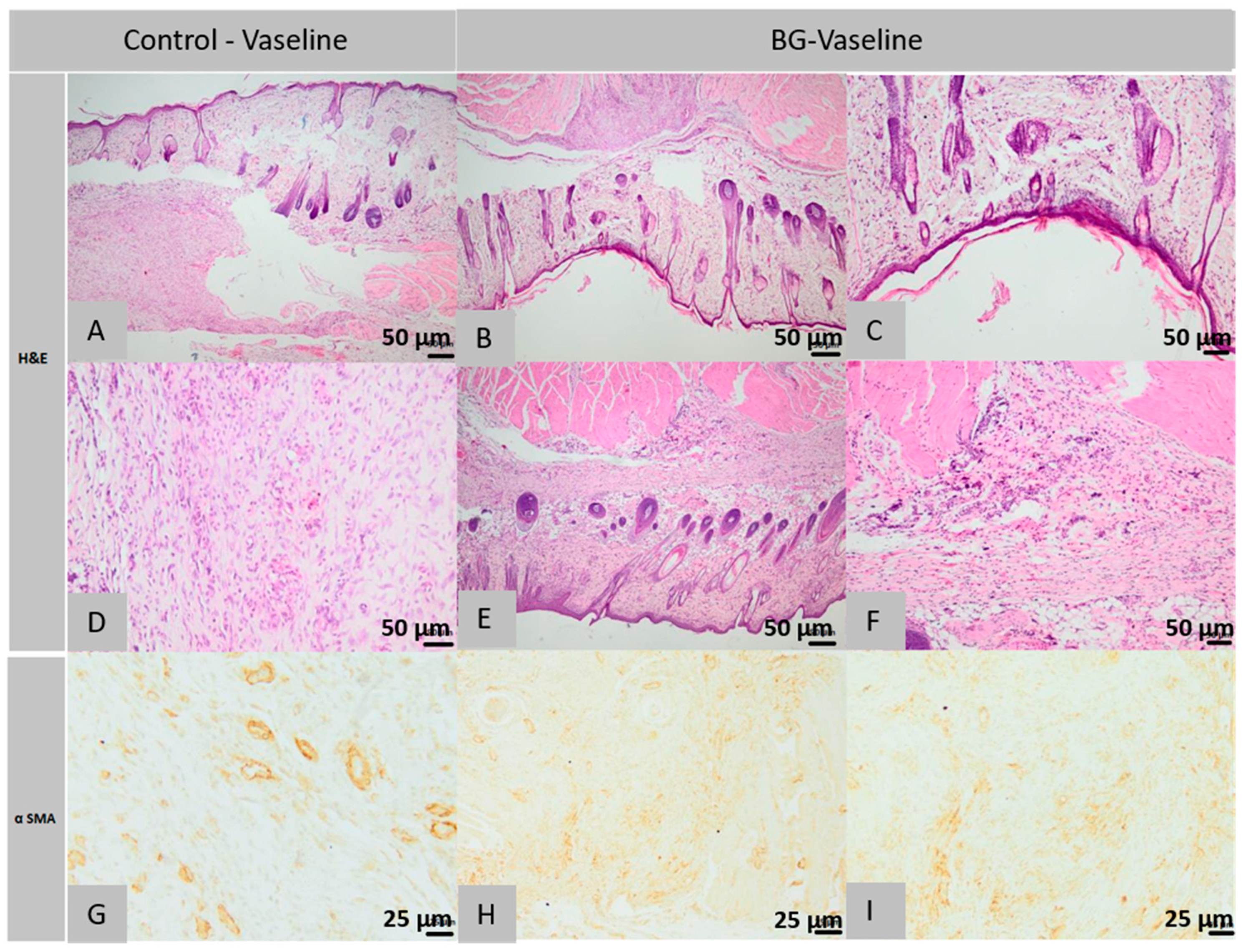Molecules 26 00620 g010