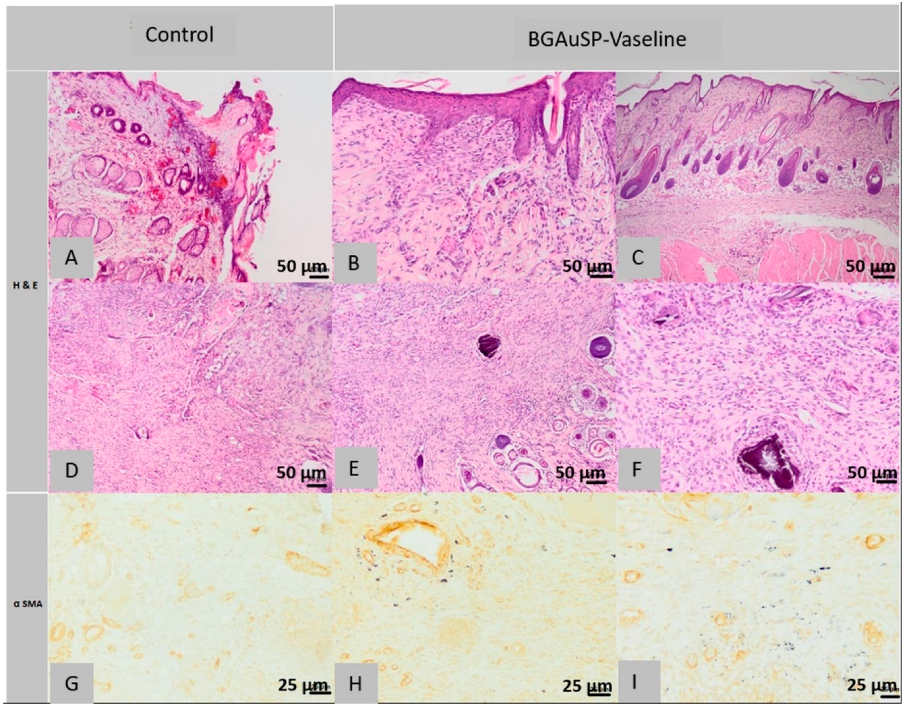 Molecules 26 00620 g011