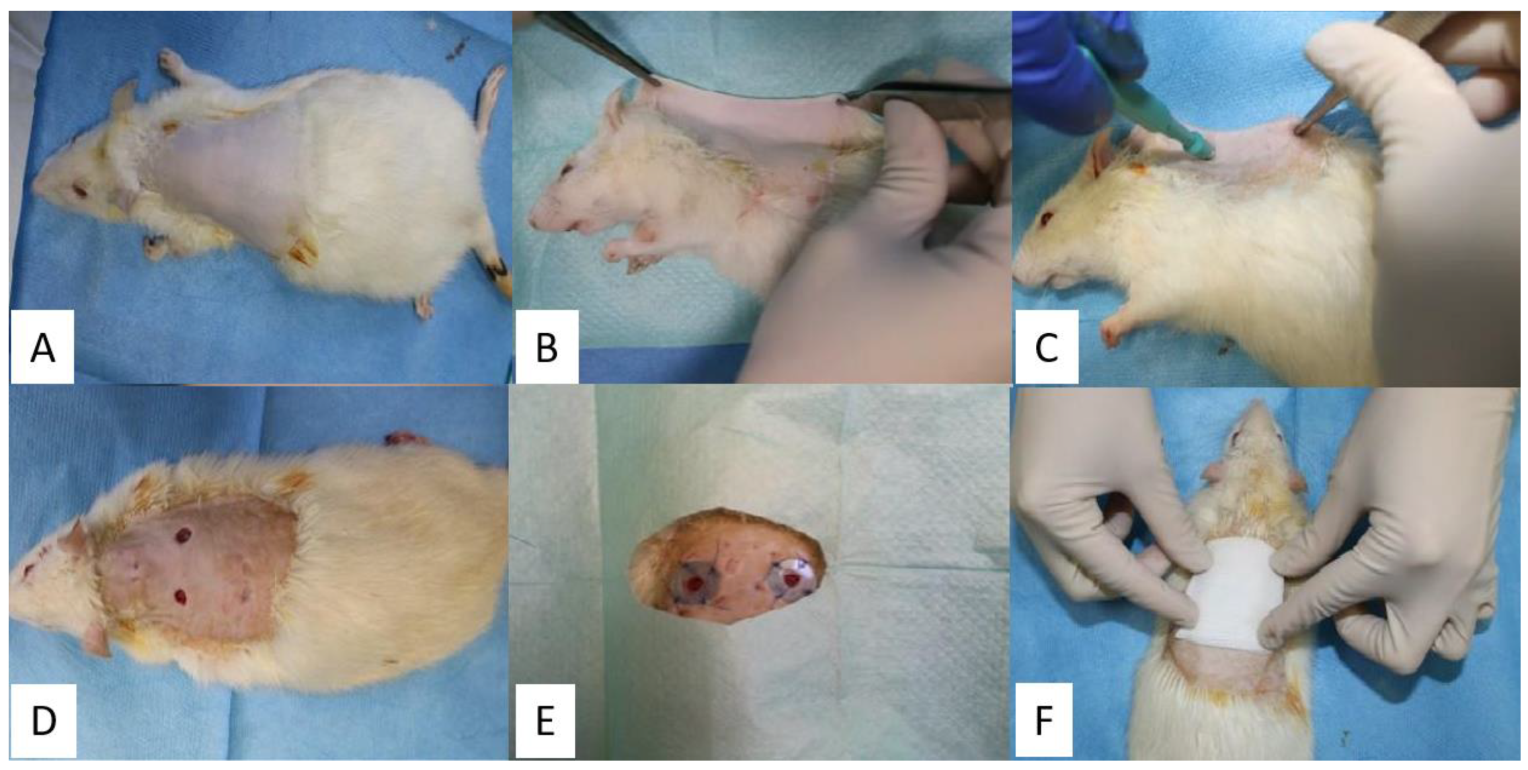 Molecules 26 00620 g013