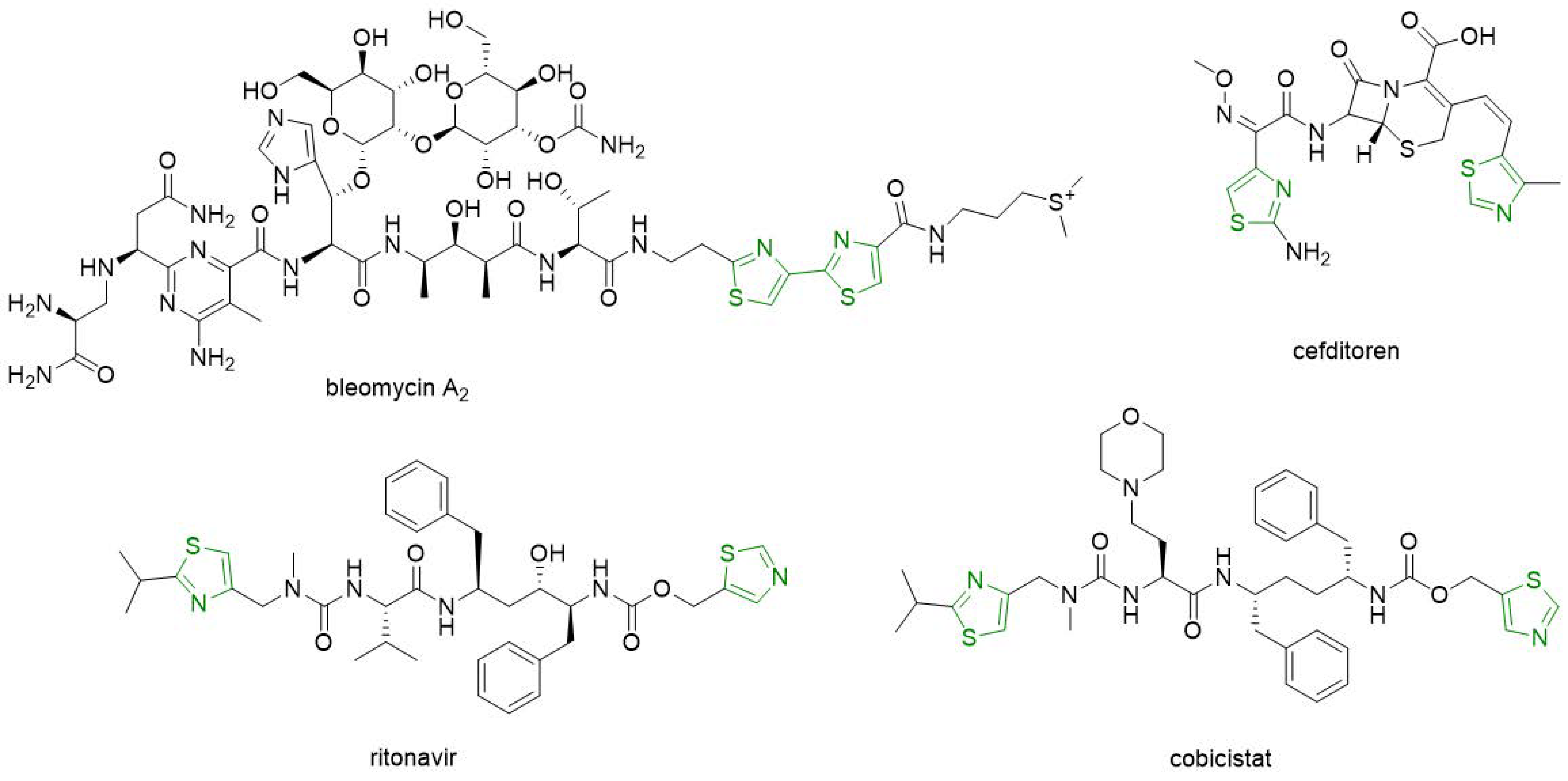 Molecules 26 00624 g002