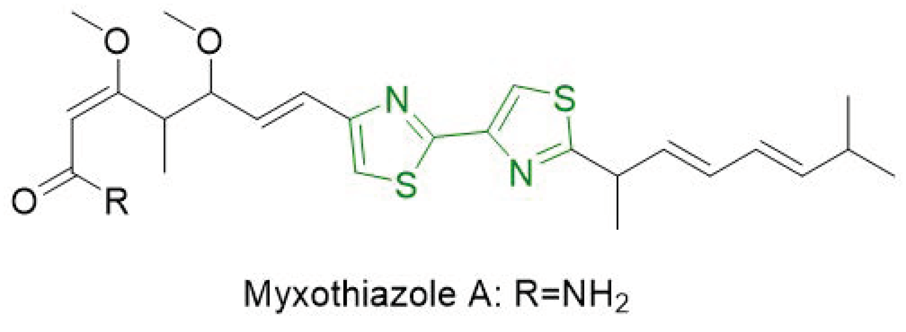Molecules 26 00624 g009