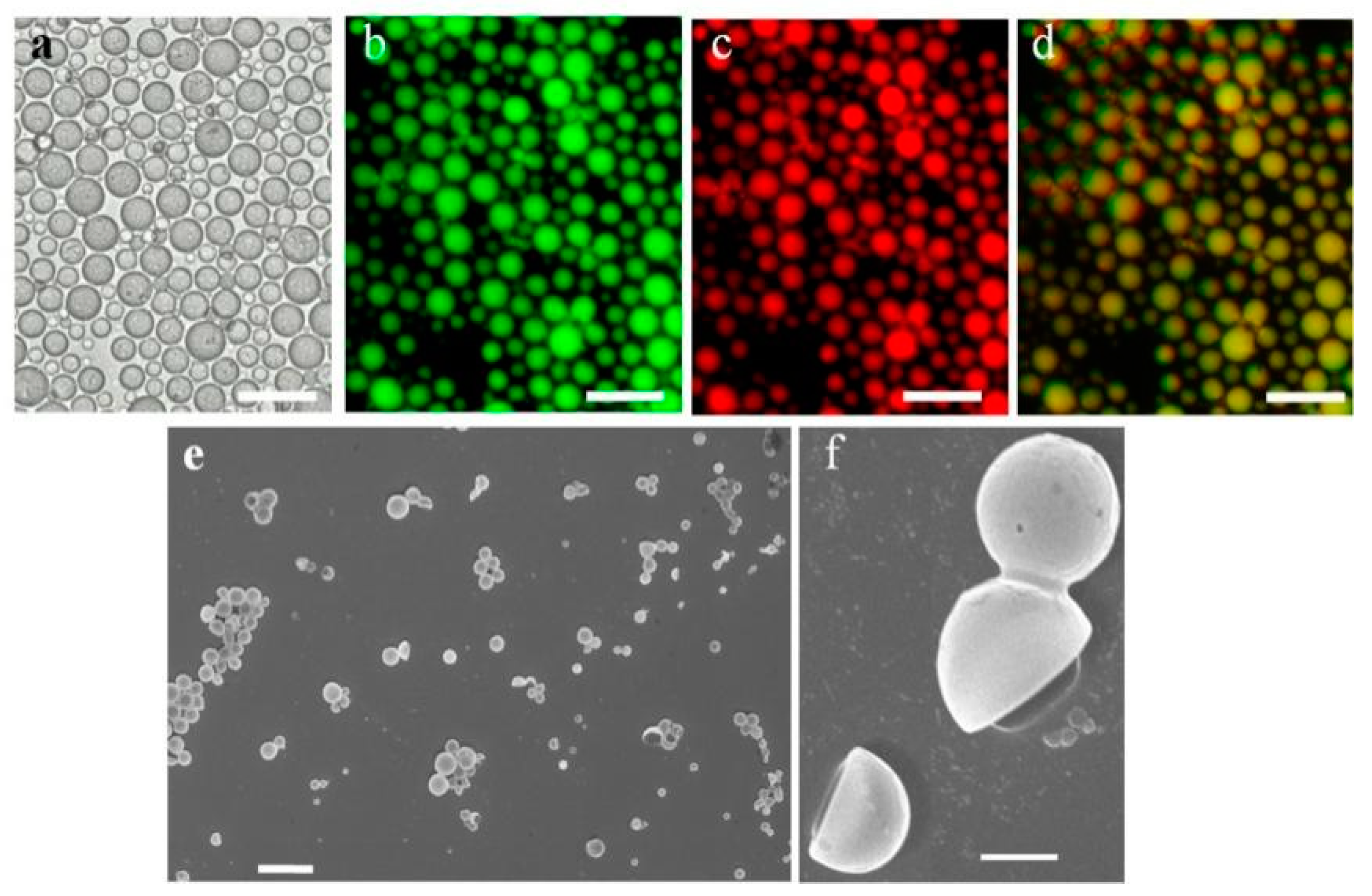 Molecules 26 00633 g001