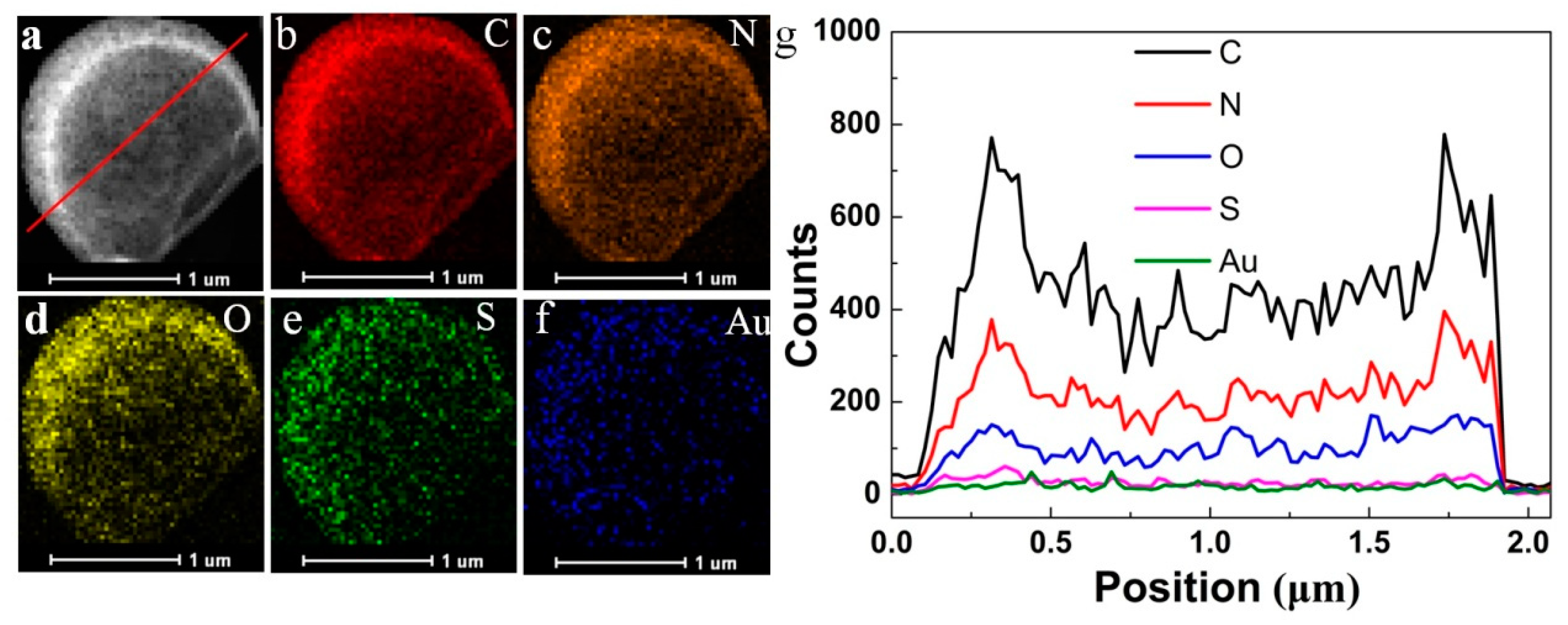 Molecules 26 00633 g002