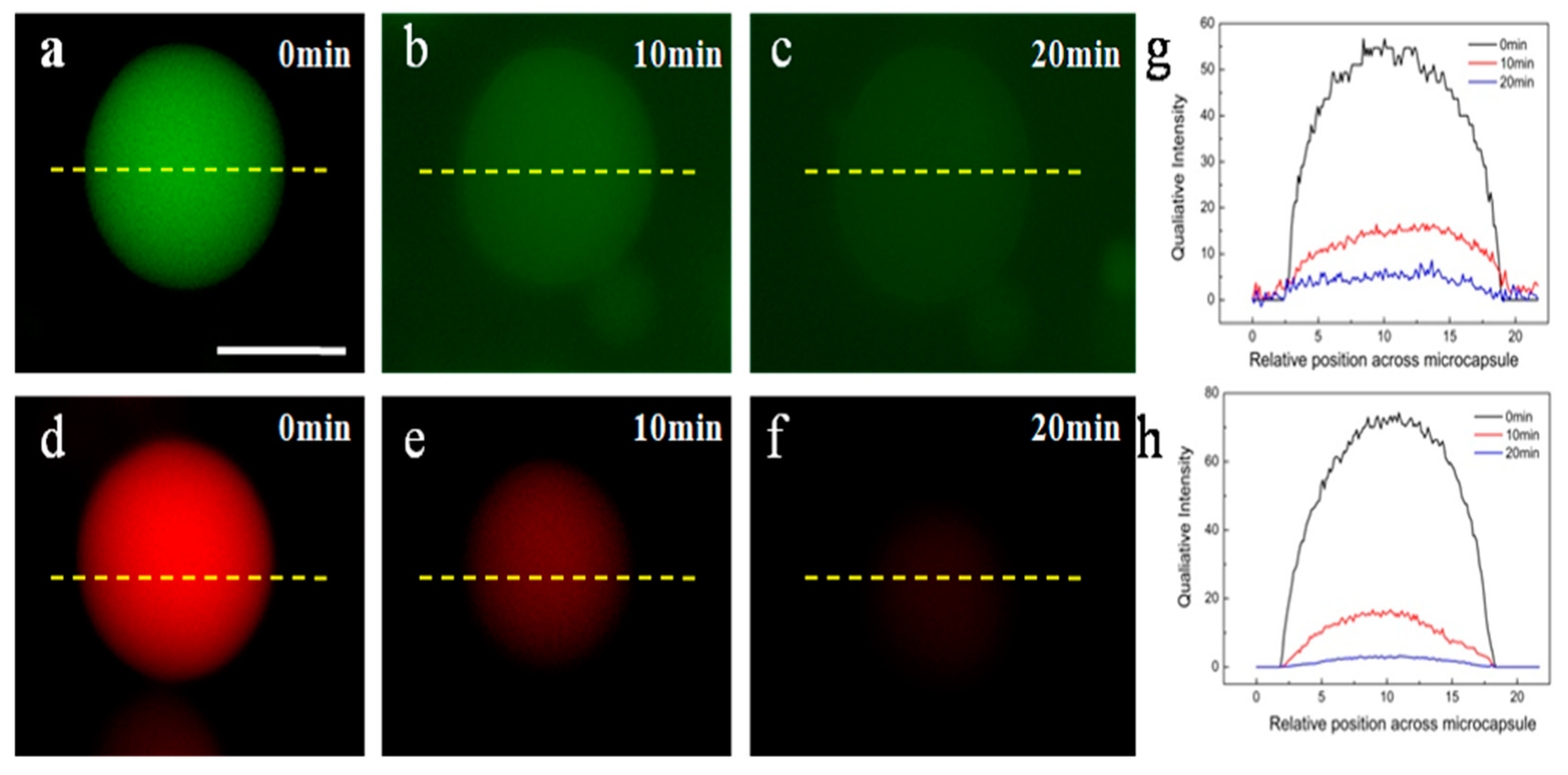 Molecules 26 00633 g004