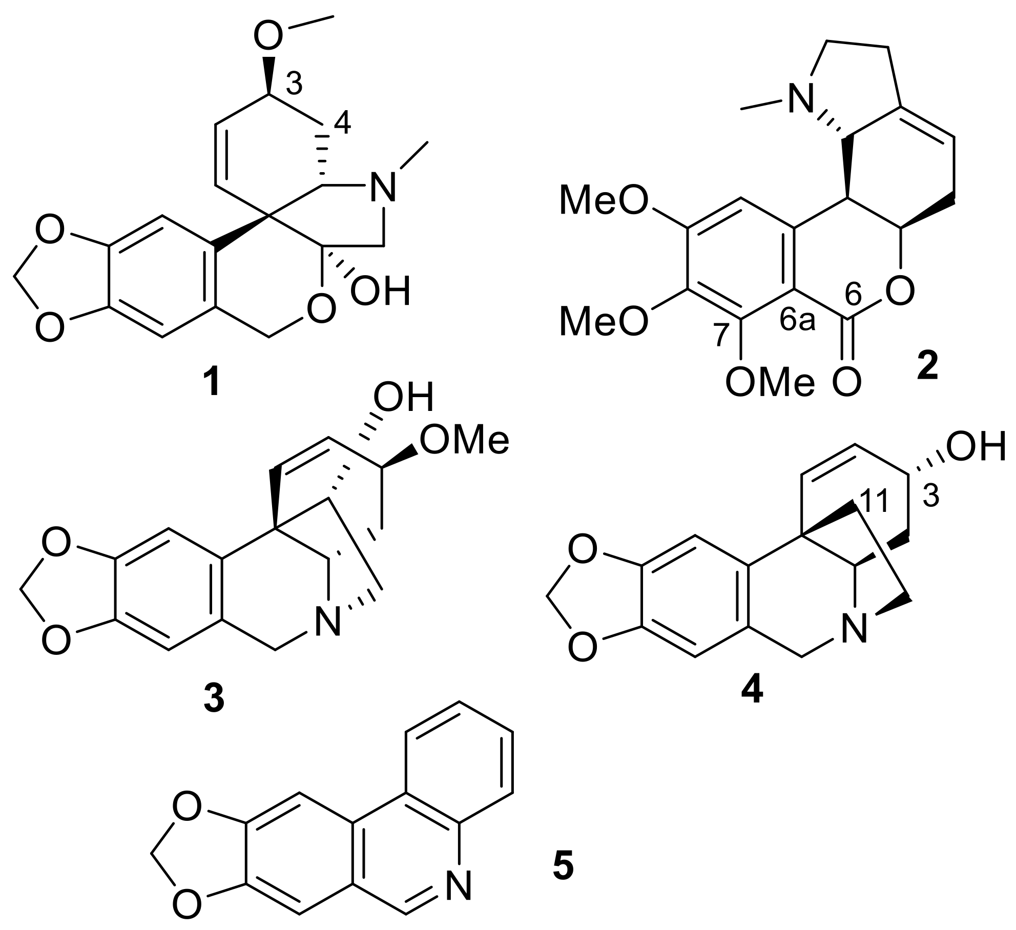 Molecules 26 00637 g004