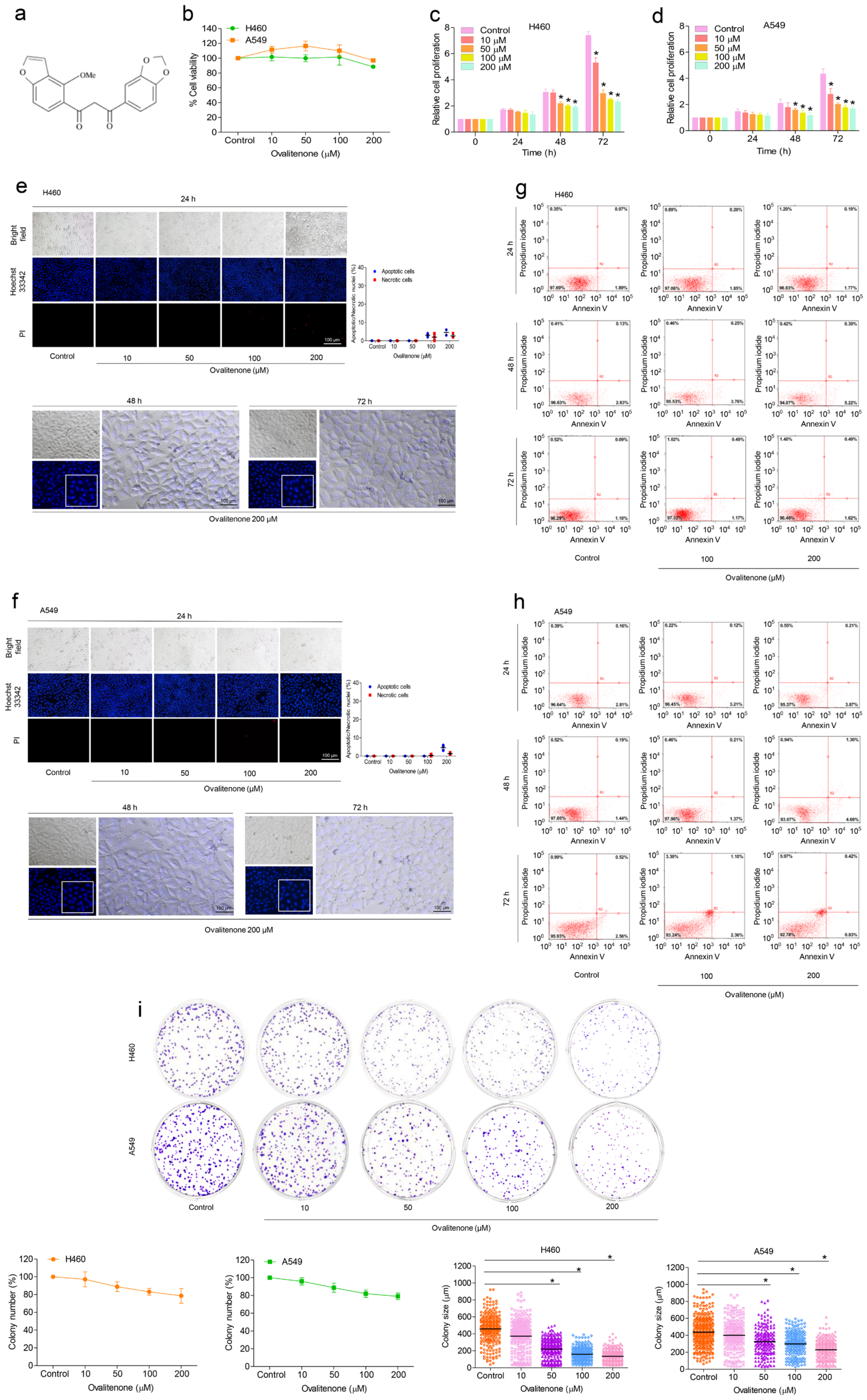 Molecules 26 00638 g001 Molecules 26 00638 g001