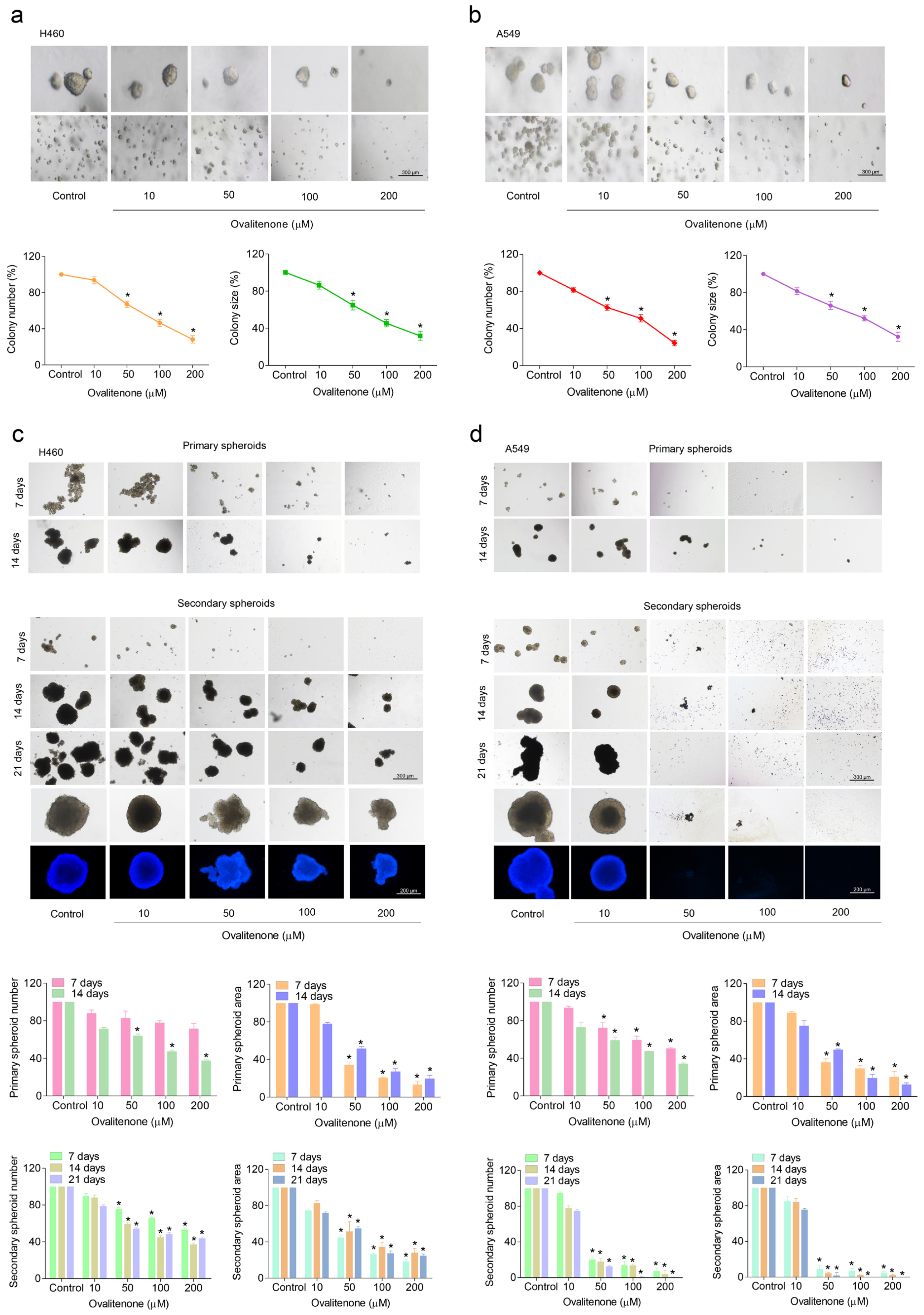 Molecules 26 00638 g003 Molecules 26 00638 g003