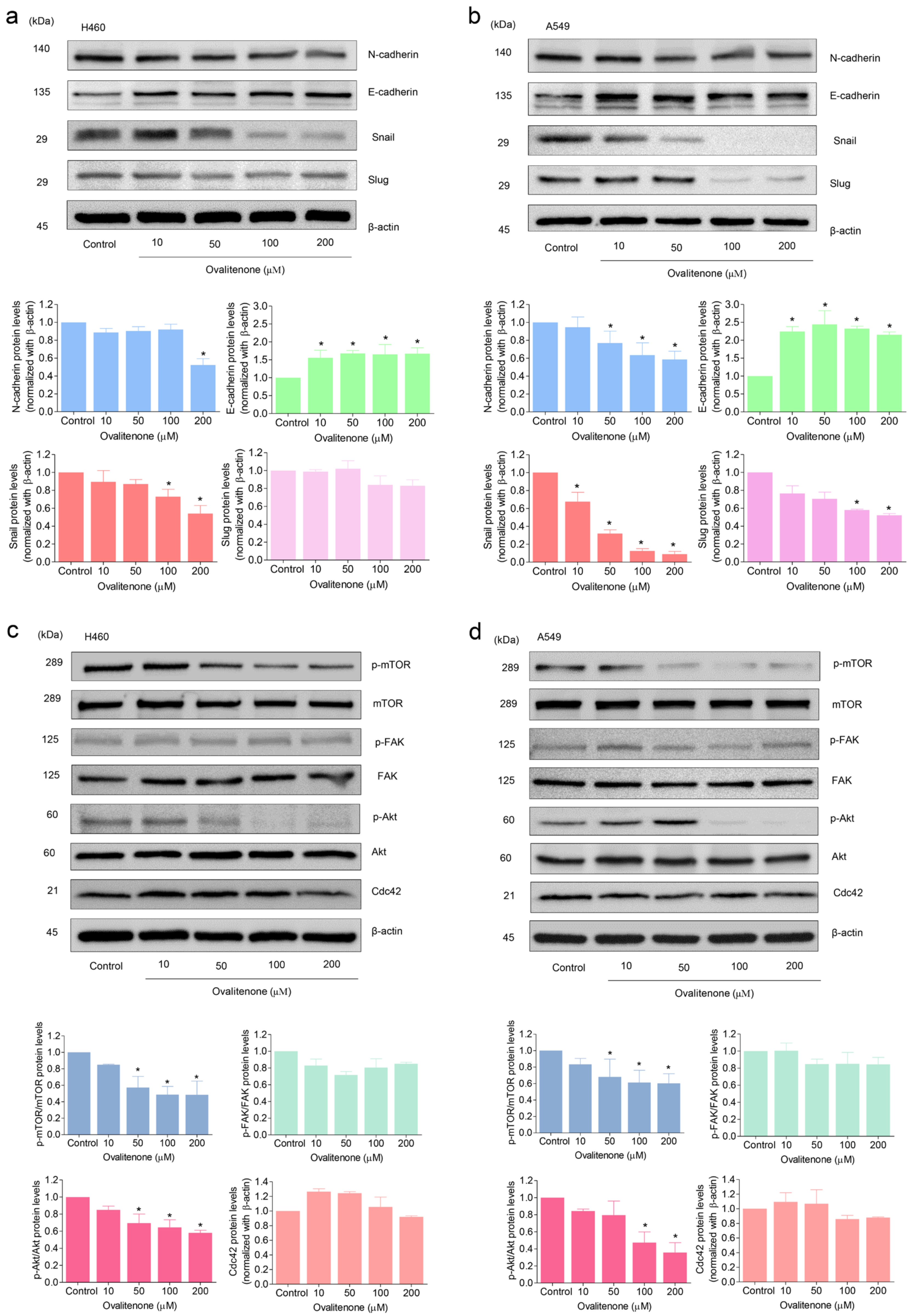 Molecules 26 00638 g004 Molecules 26 00638 g004