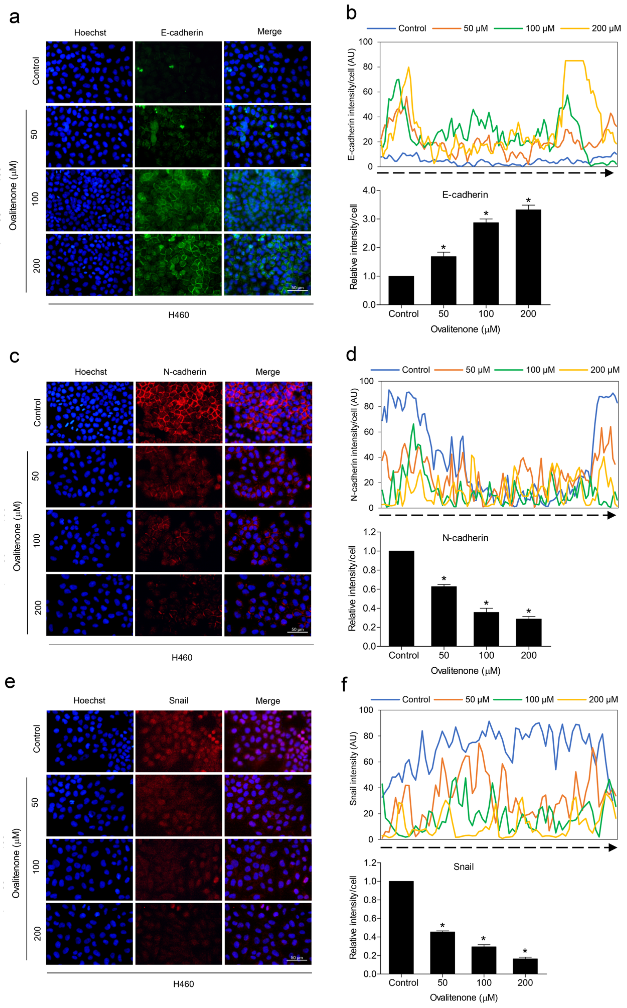 Molecules 26 00638 g005 Molecules 26 00638 g005