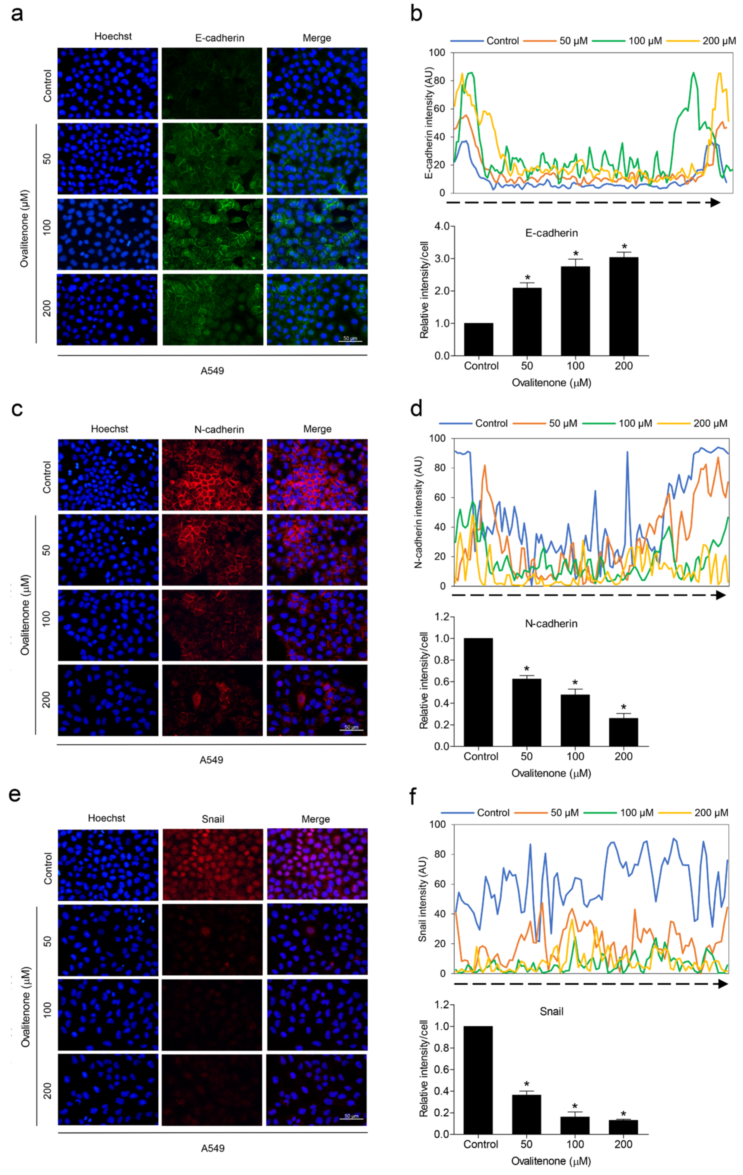 Molecules 26 00638 g006 Molecules 26 00638 g006
