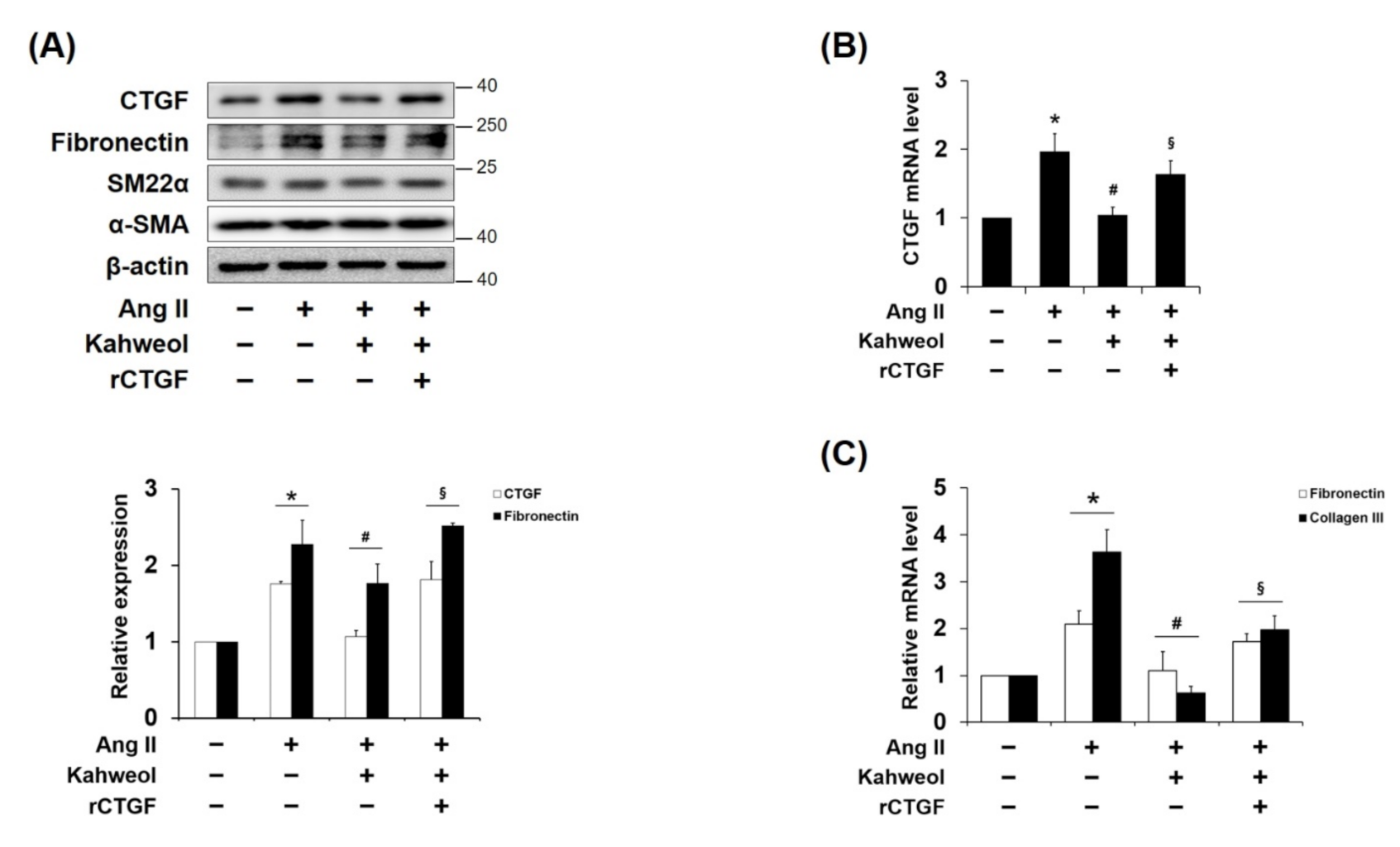 Molecules 26 00640 g002
