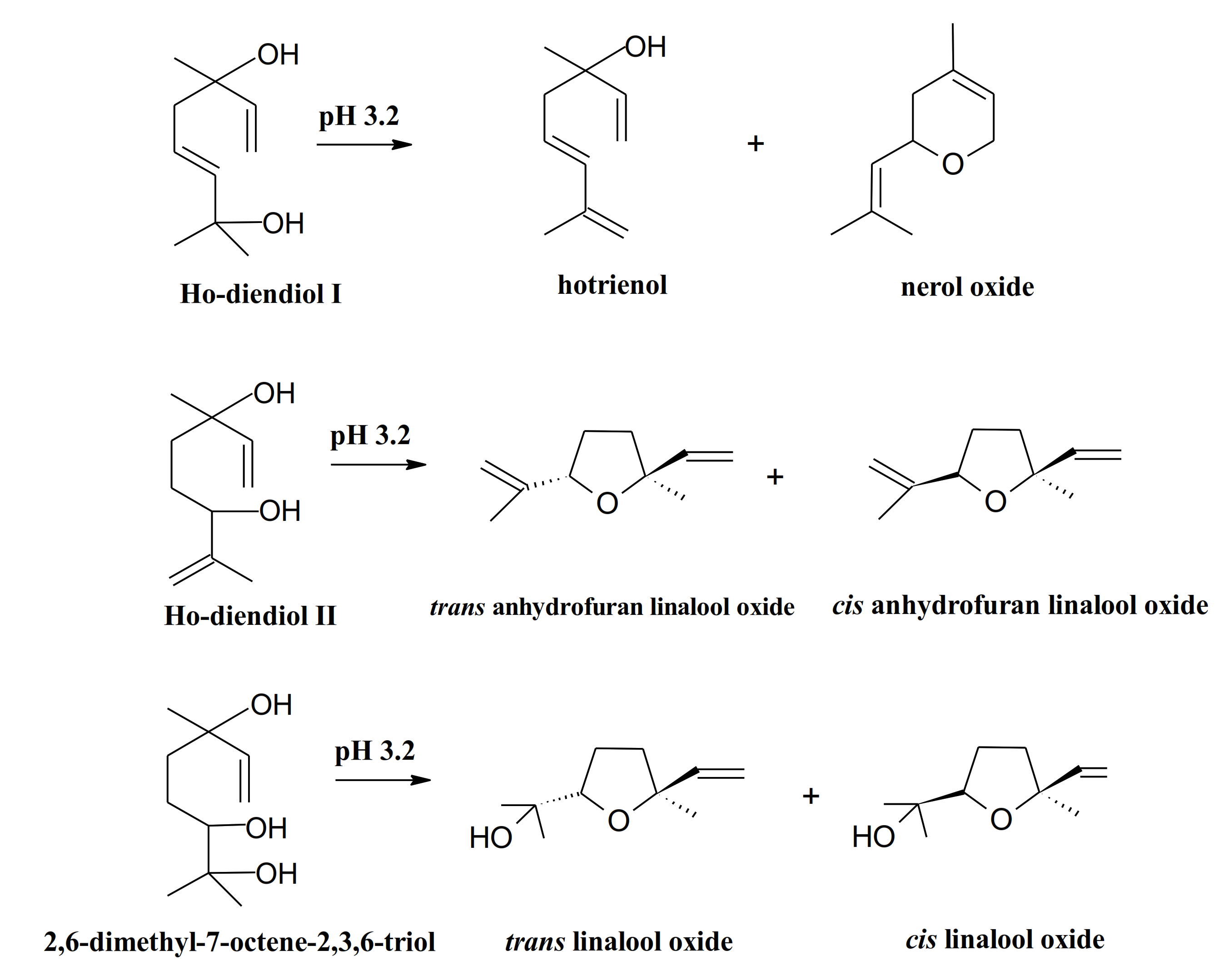 Molecules 26 00644 g005