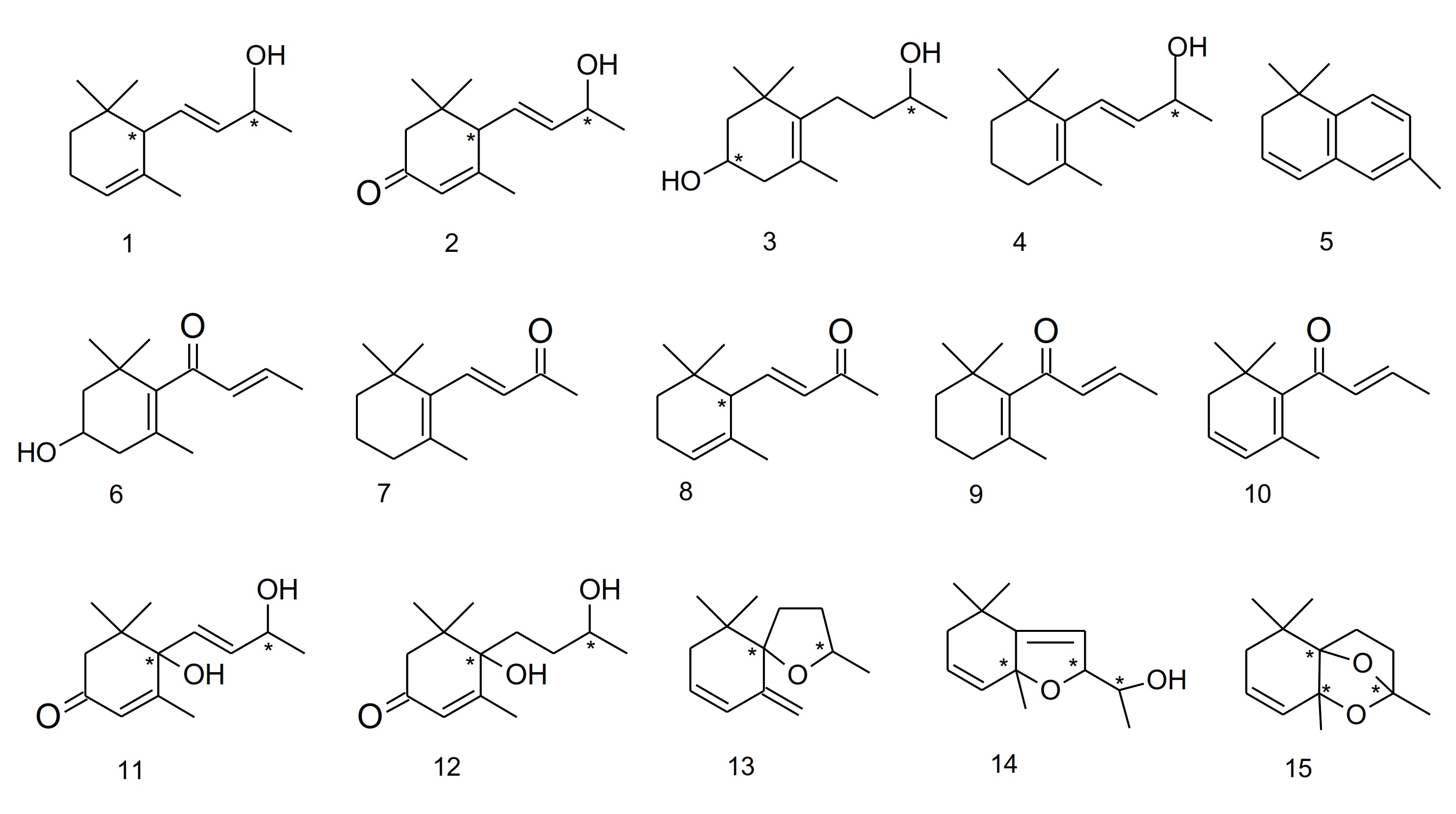 Molecules 26 00644 g006