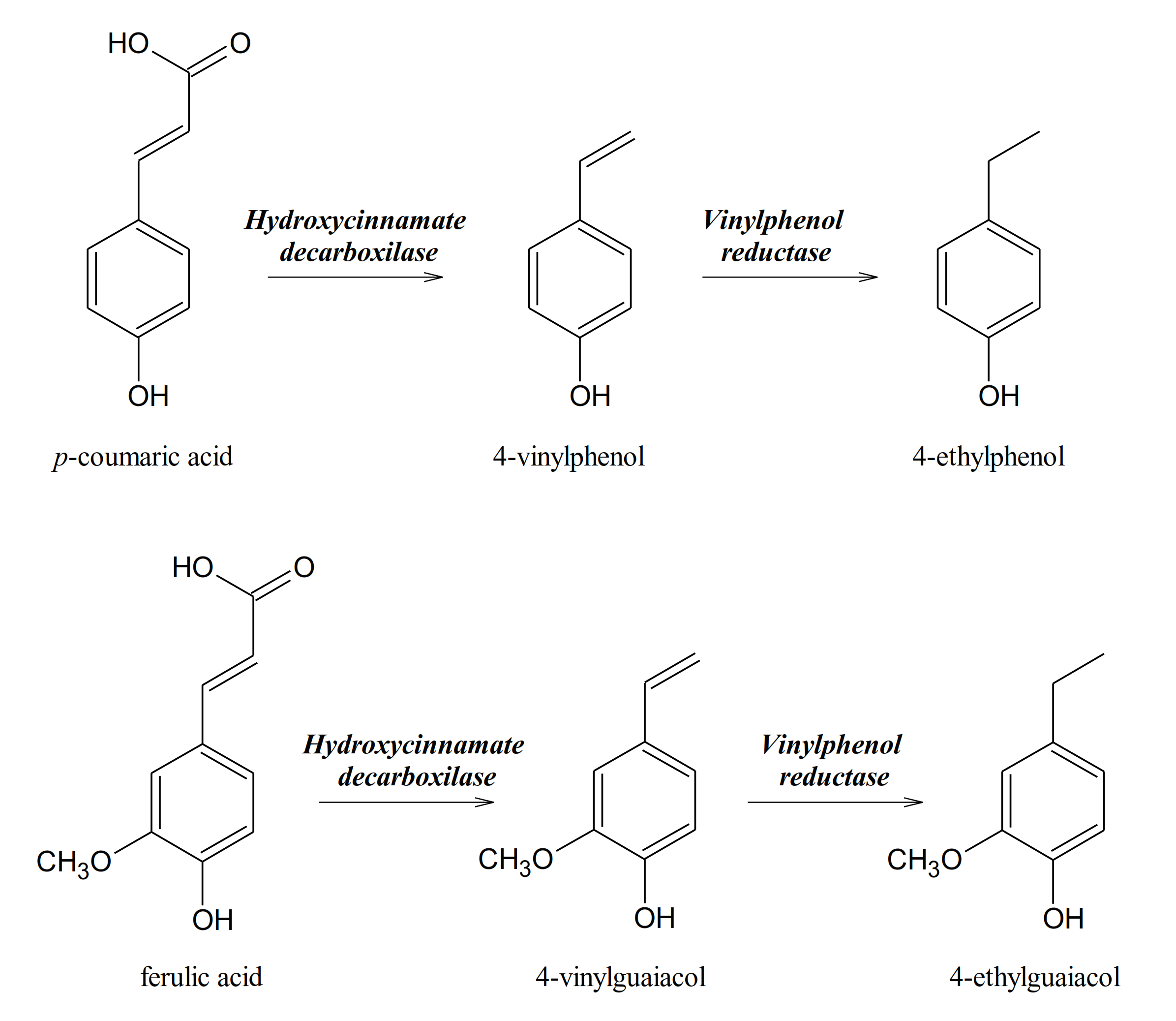 Molecules 26 00644 sch002