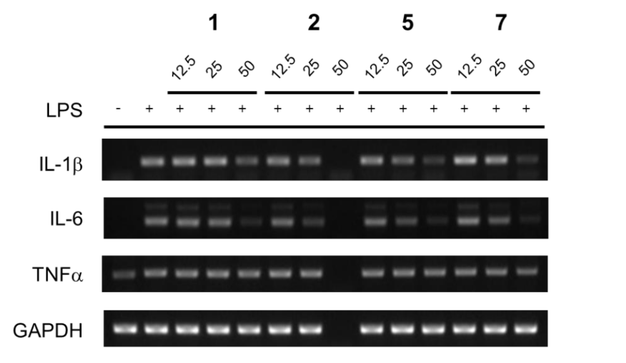 Molecules 26 00646 g002