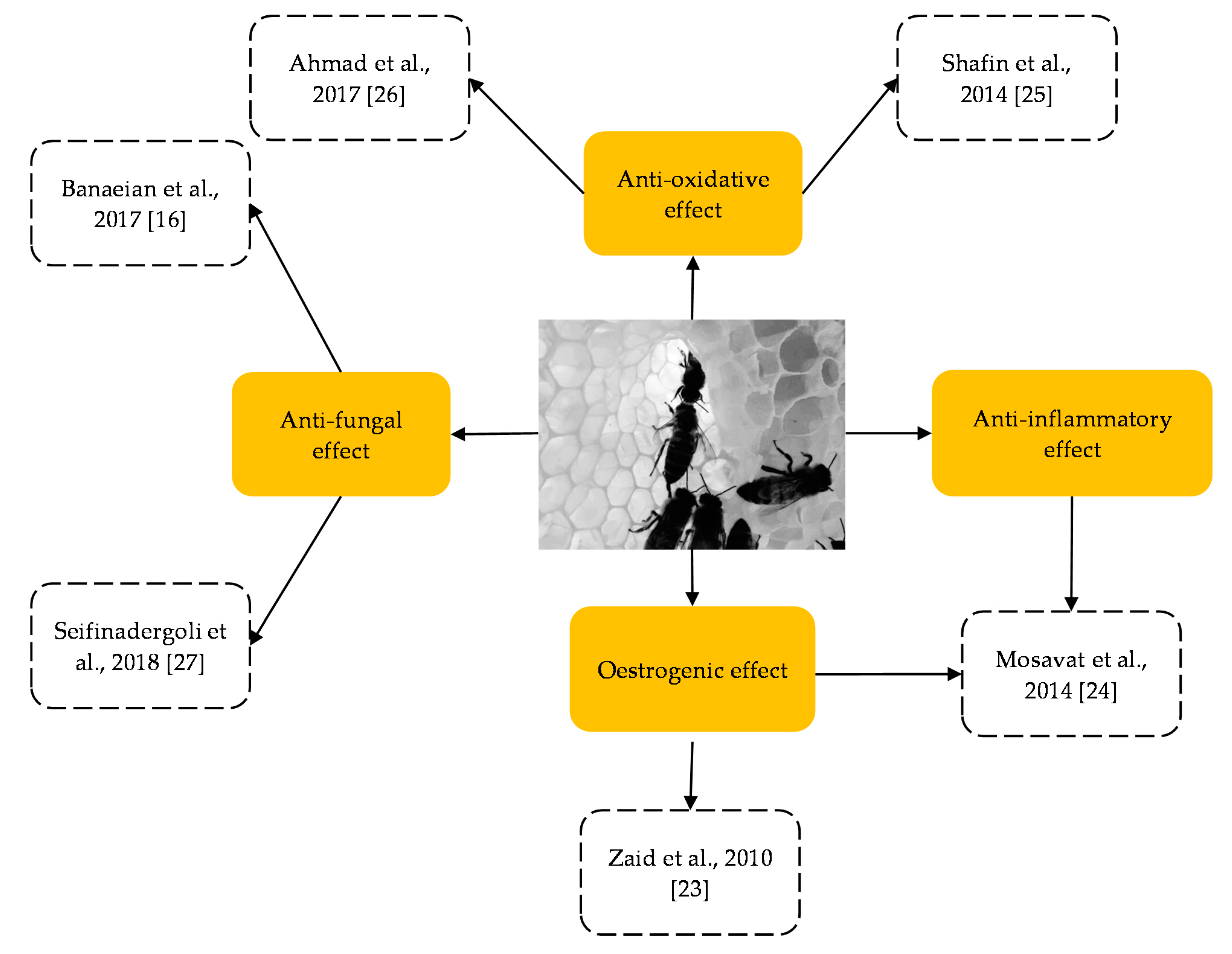 Molecules 26 00649 g002 Molecules 26 00649 g002