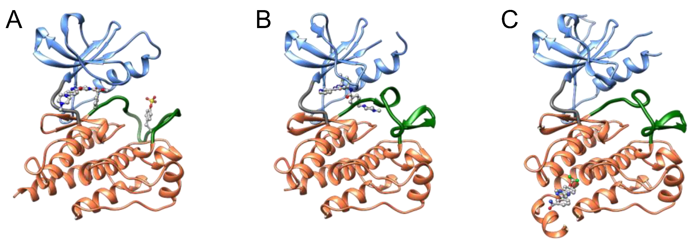 Molecules 26 00651 g005
