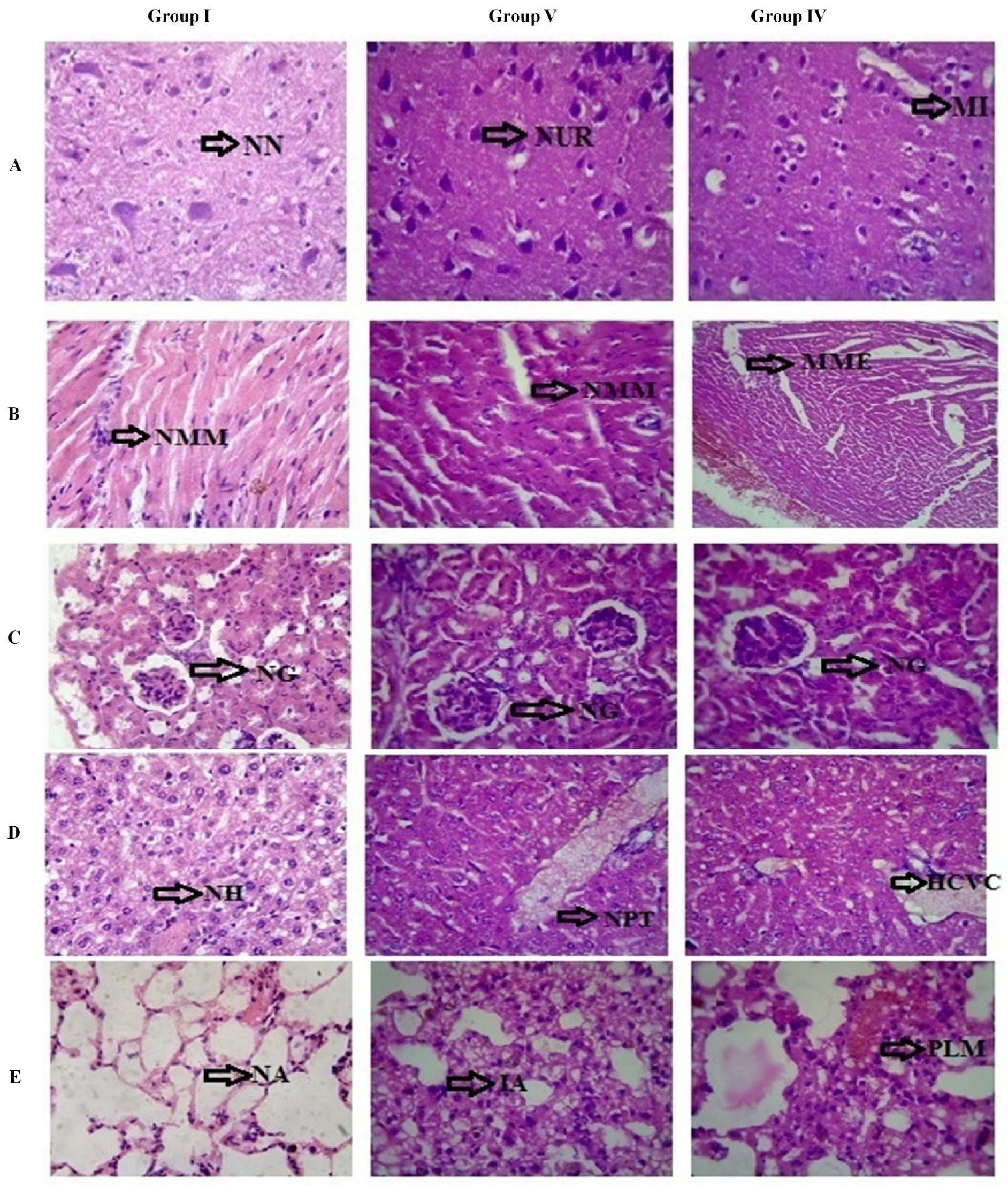 Molecules 26 00654 g003 Molecules 26 00654 g003