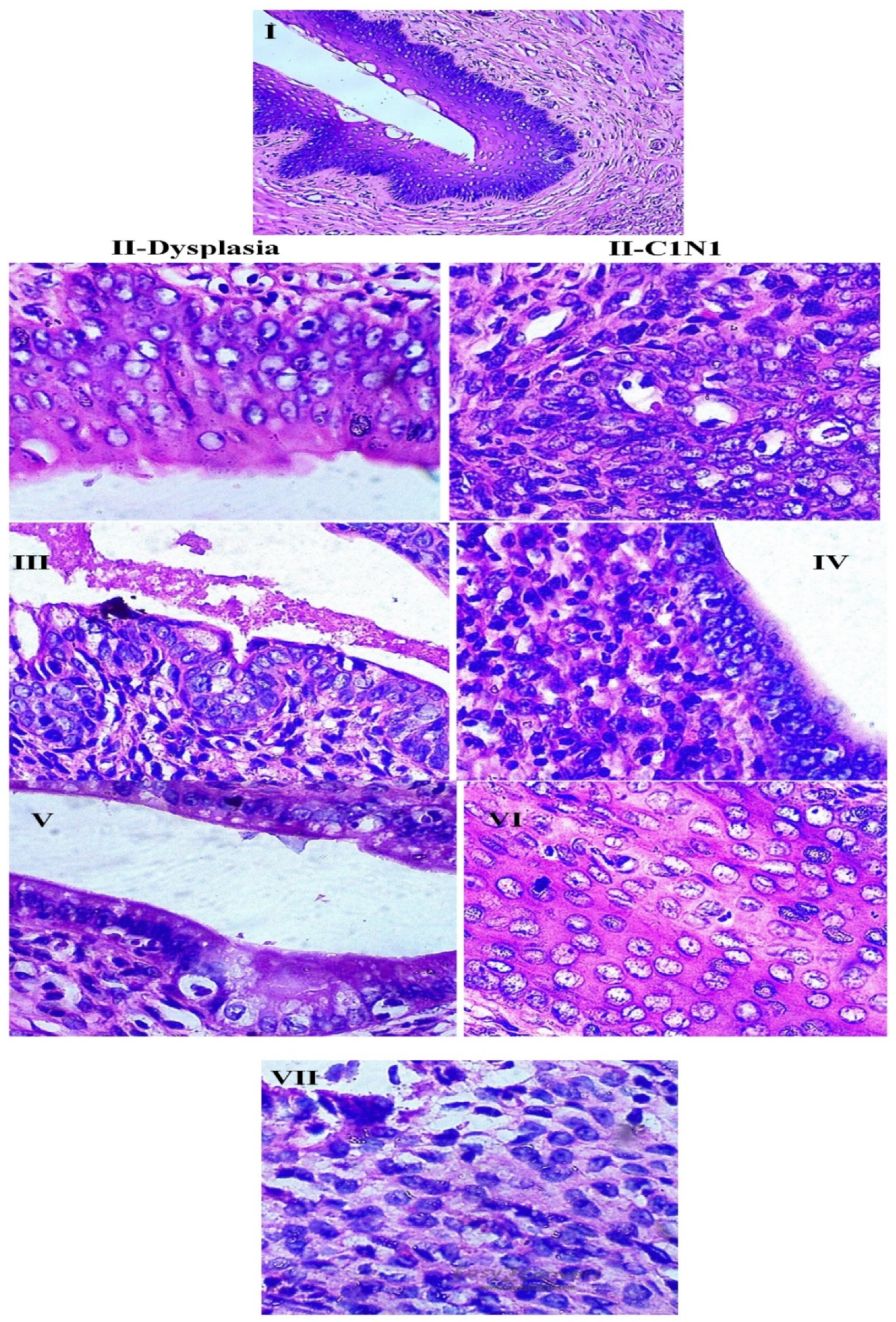 Molecules 26 00654 g007 Molecules 26 00654 g007
