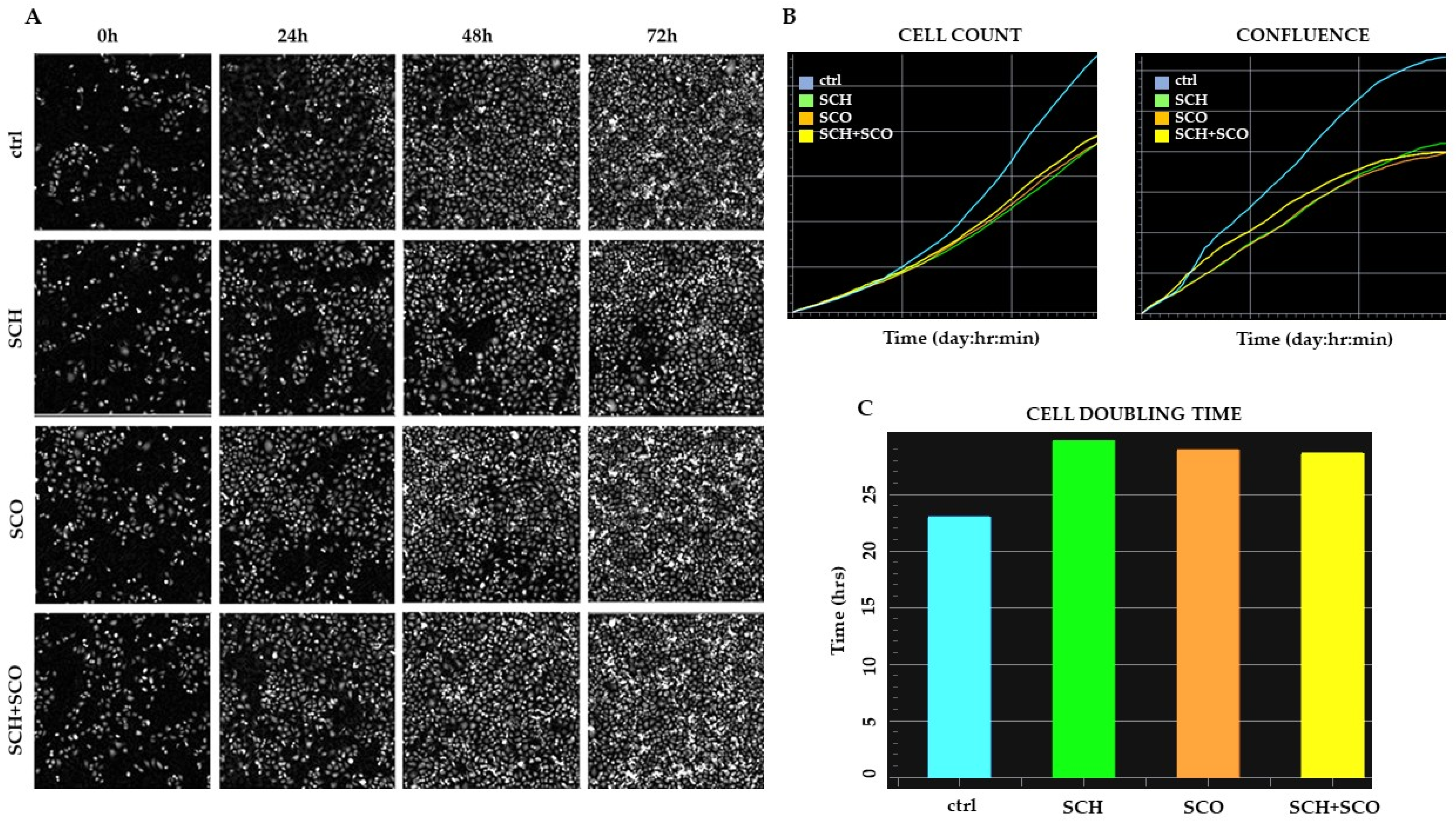 Molecules 26 00655 g005 Molecules 26 00655 g005