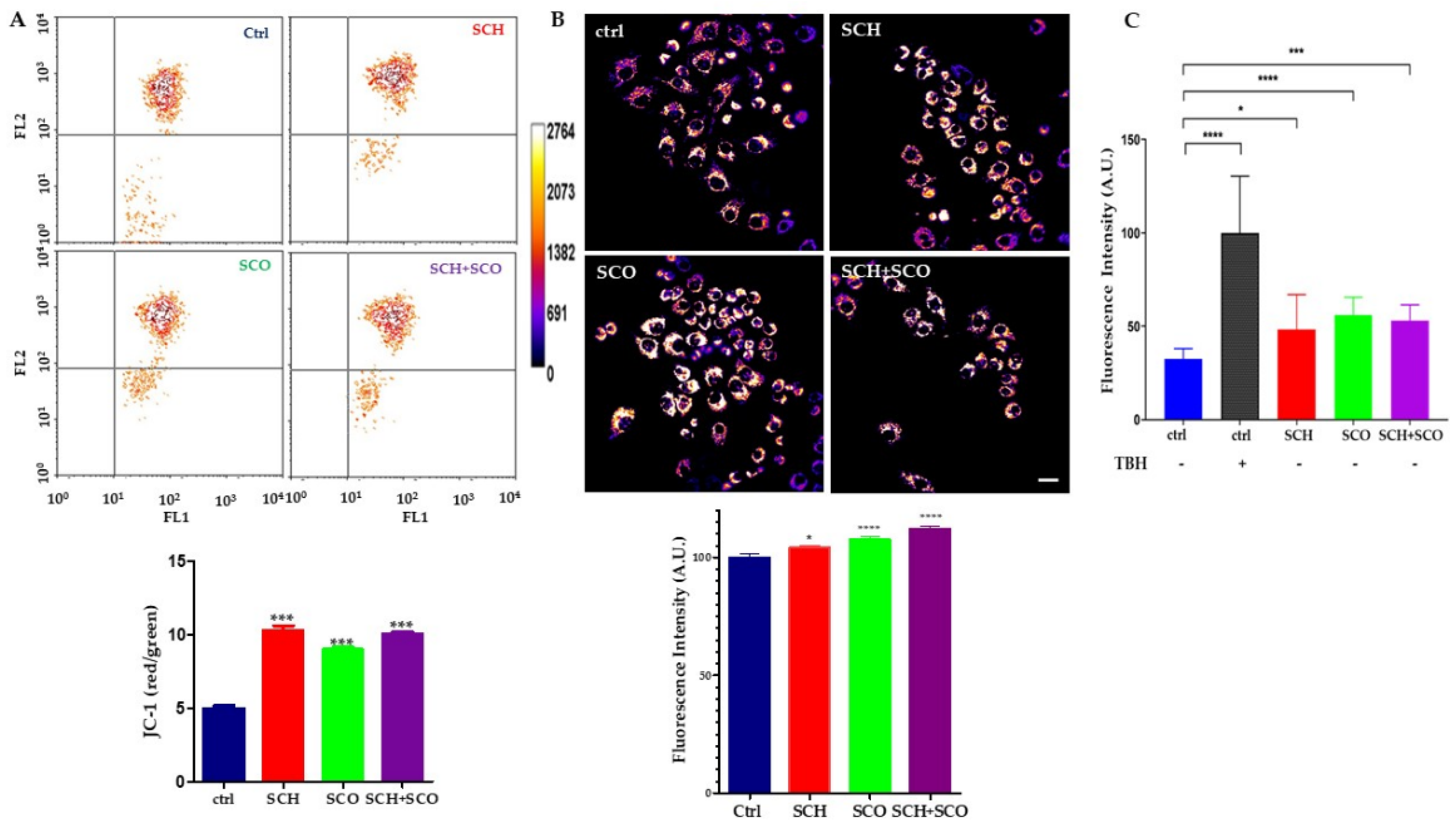 Molecules 26 00655 g006 Molecules 26 00655 g006