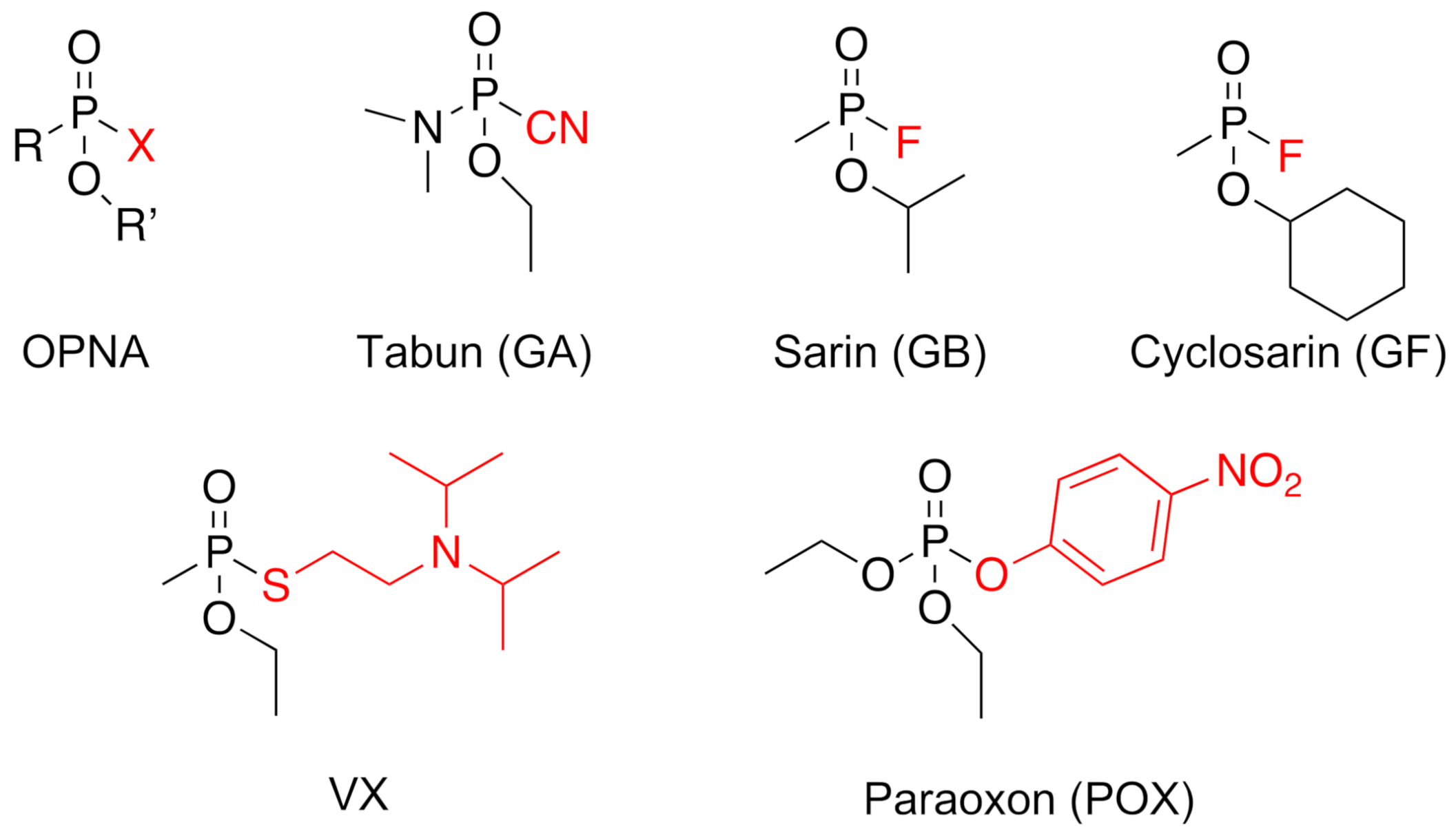 Molecules 26 00657 g001