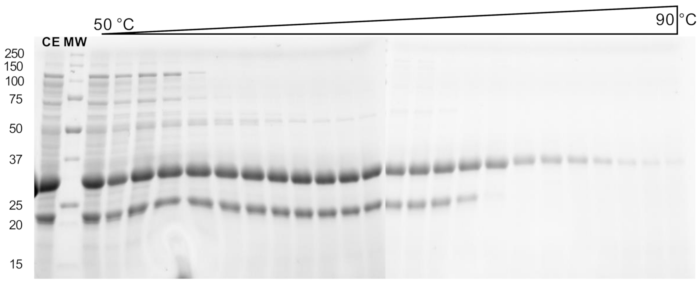 Molecules 26 00657 g002