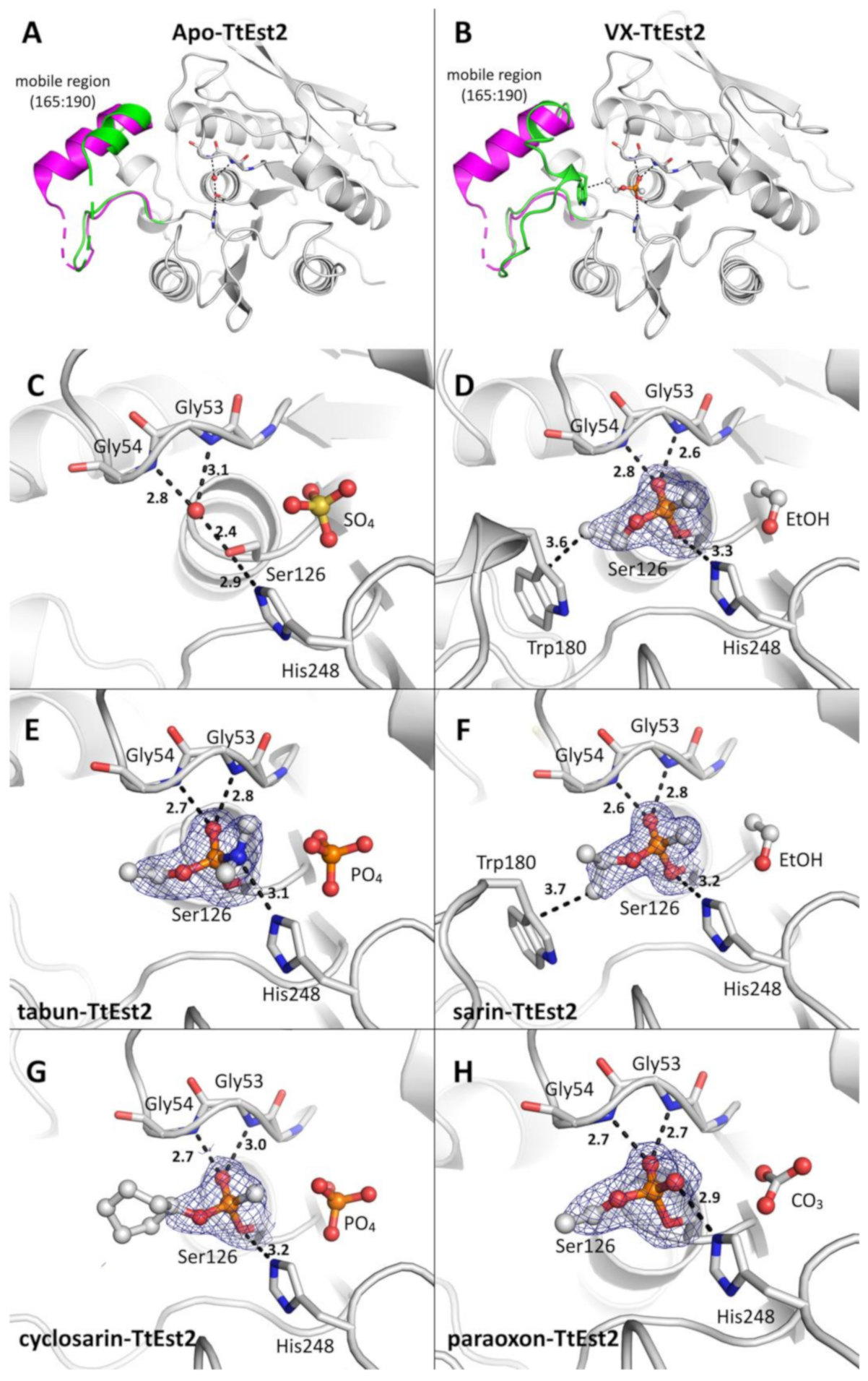 Molecules 26 00657 g004