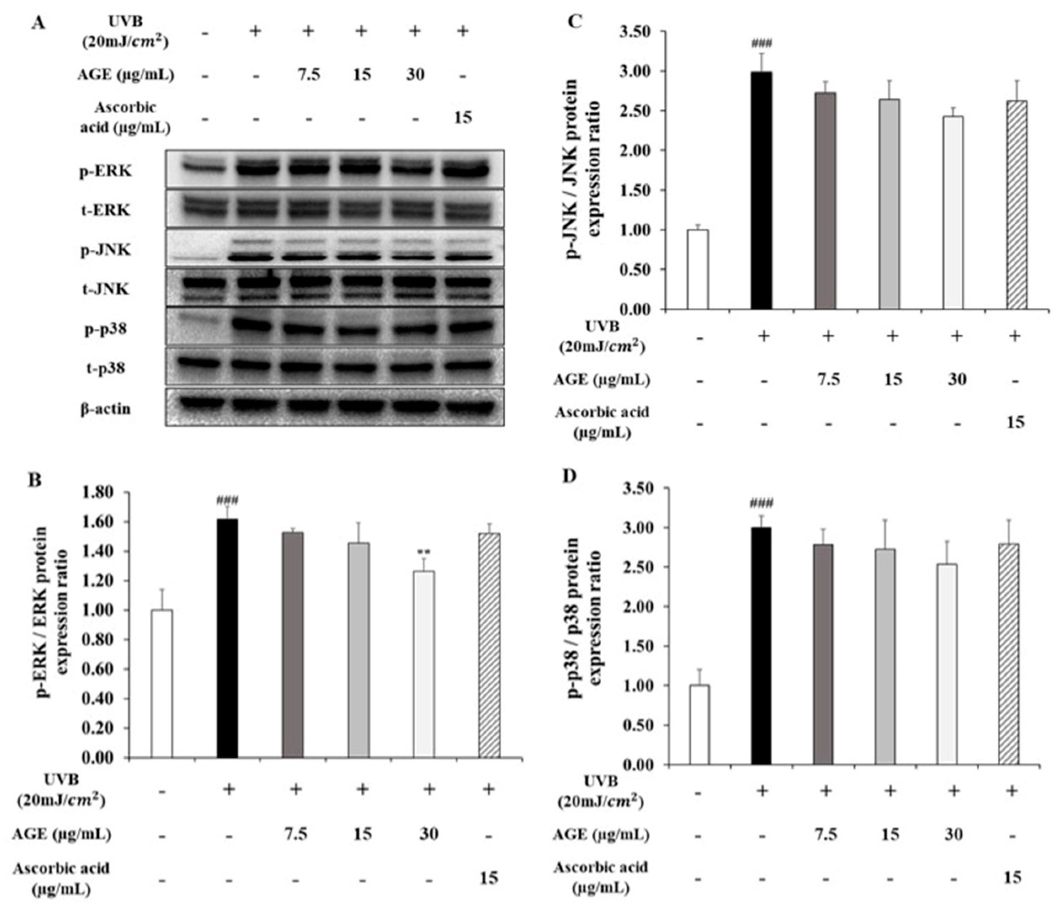 Molecules 26 00662 g004 Molecules 26 00662 g004